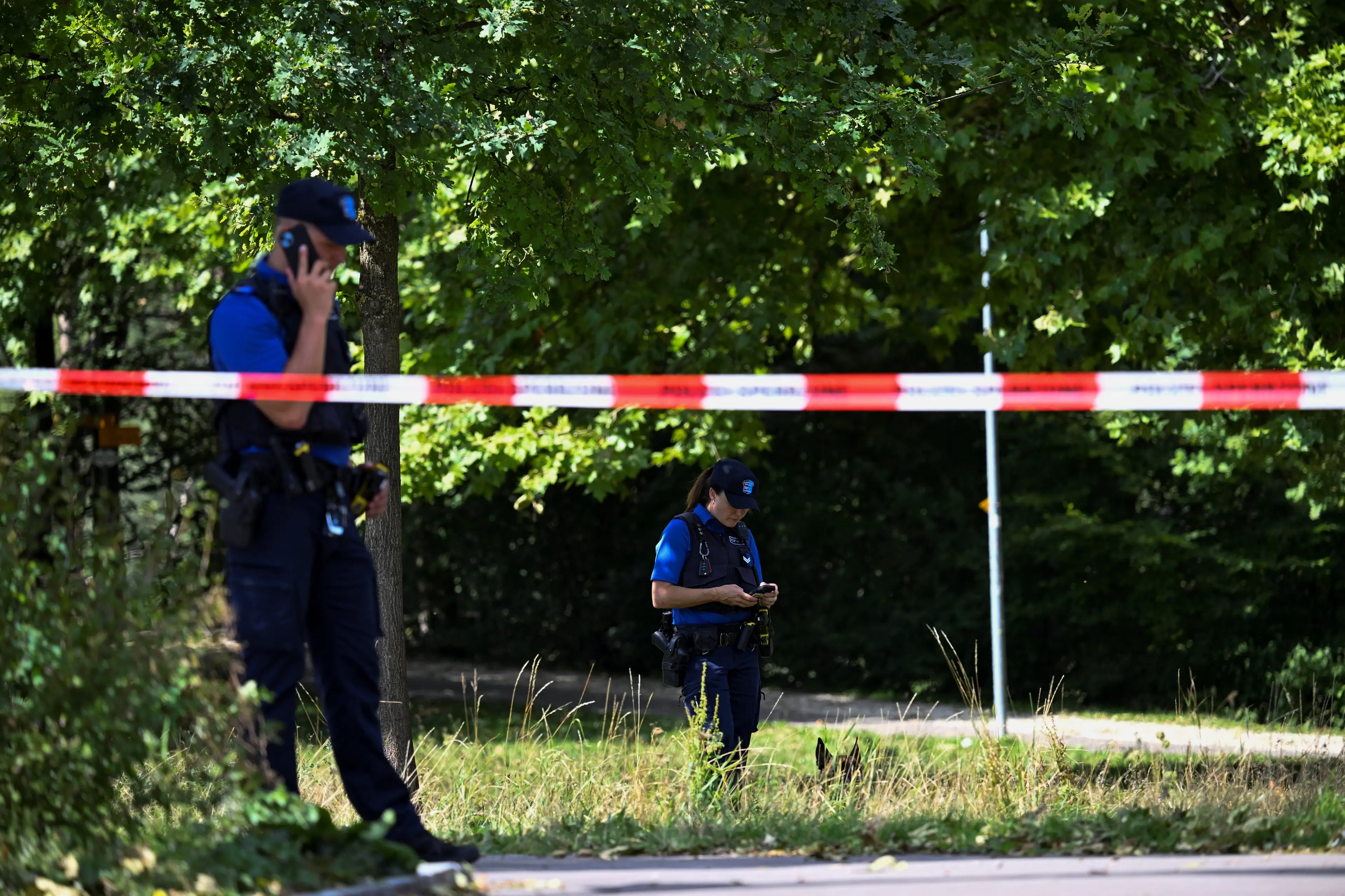 Manhunt under way after fatal shooting at Swiss rave