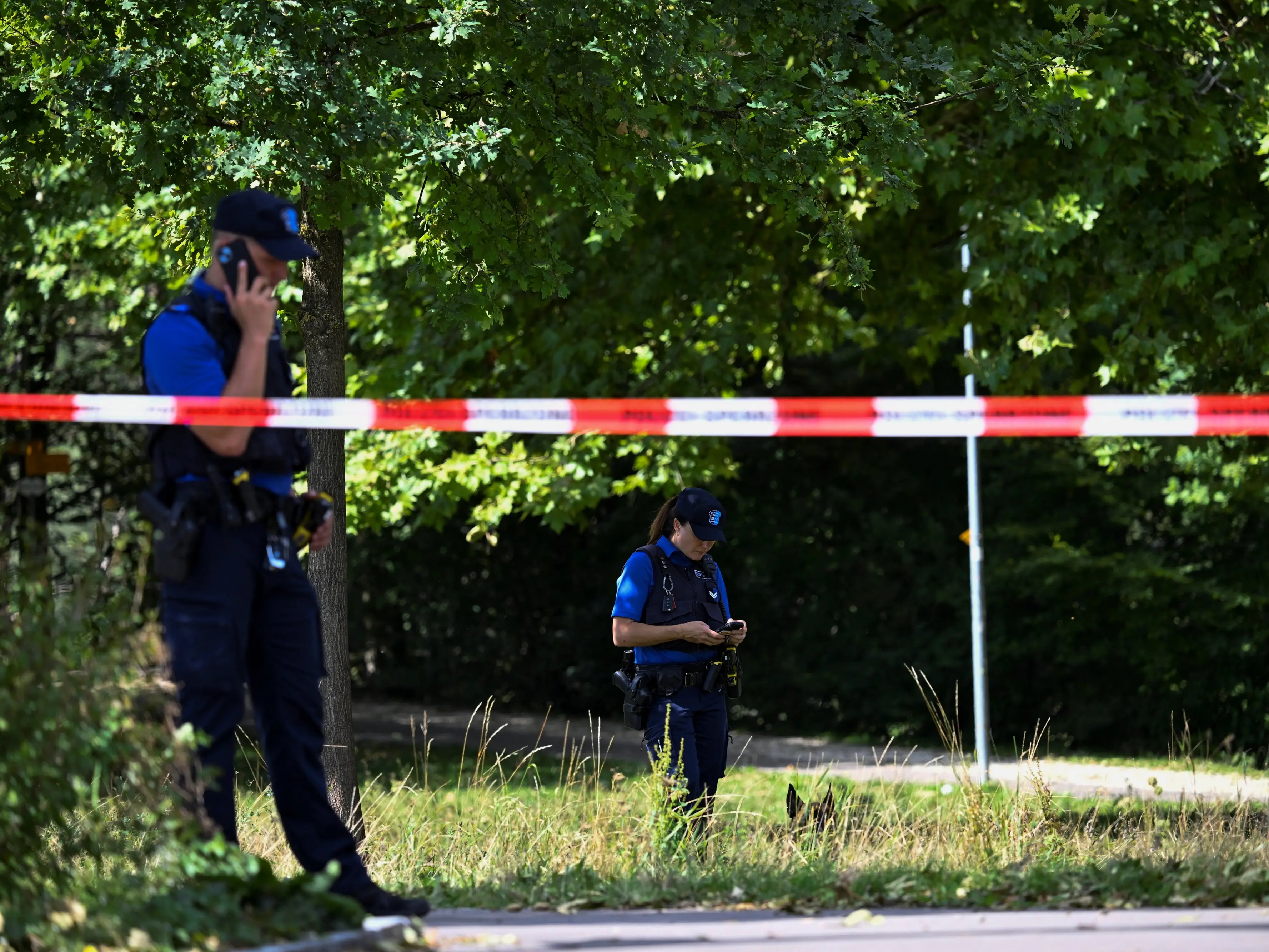 Manhunt under way after fatal shooting at Swiss rave