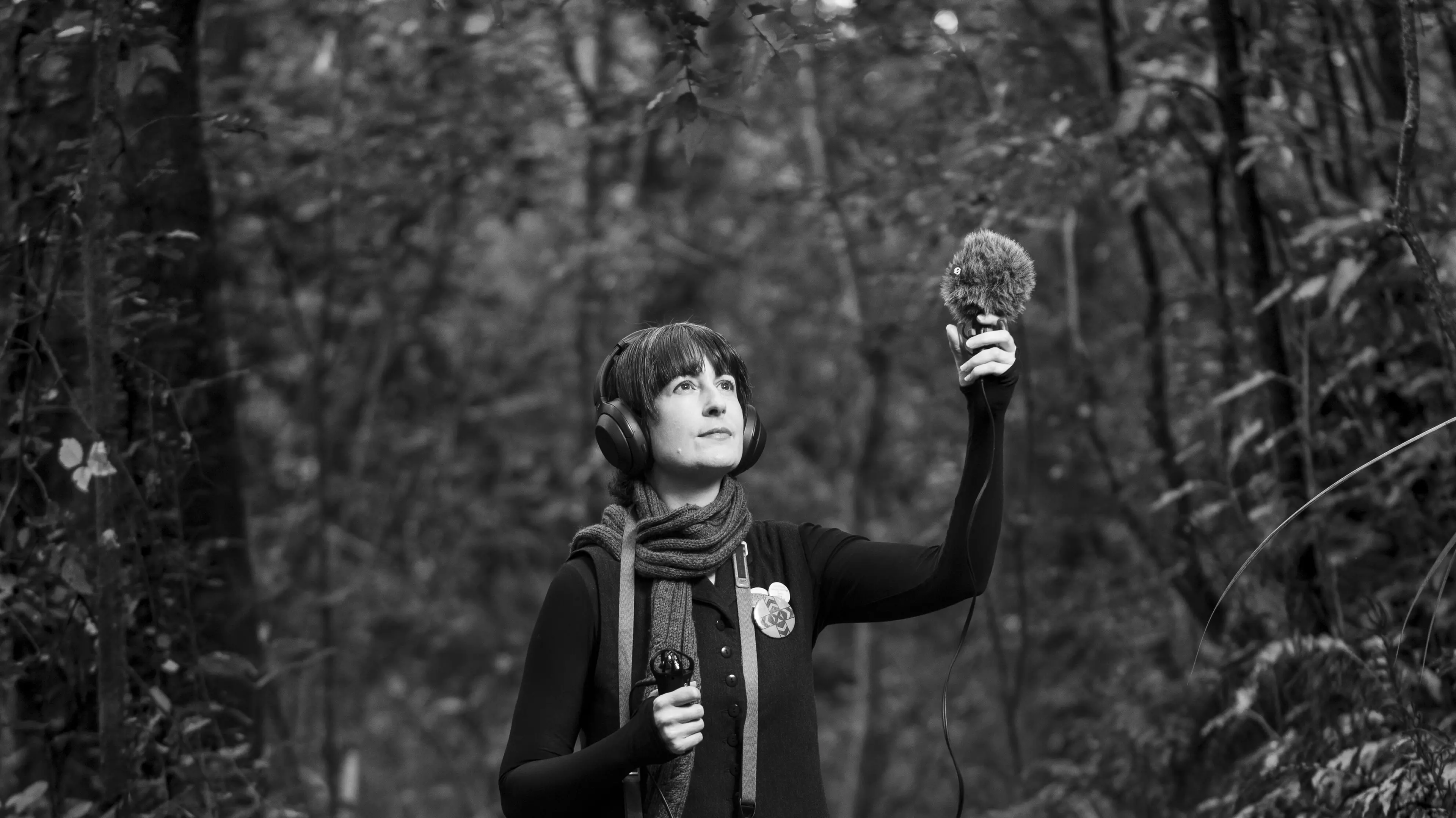 Response to Town Belt part of Robert Burns Fellow’s work