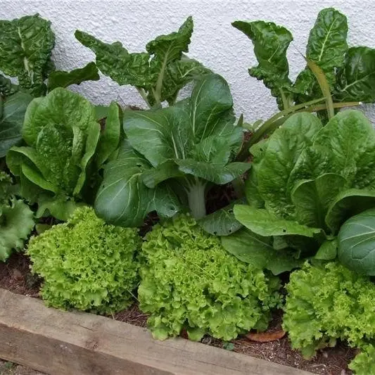 Digging in for spring