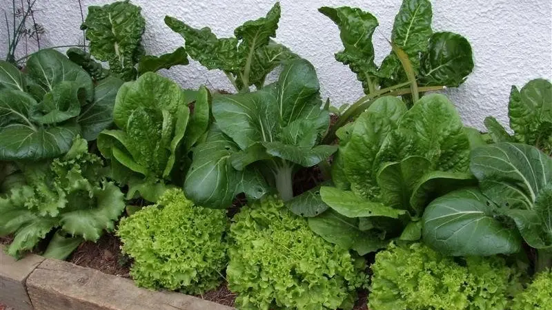 Digging in for spring