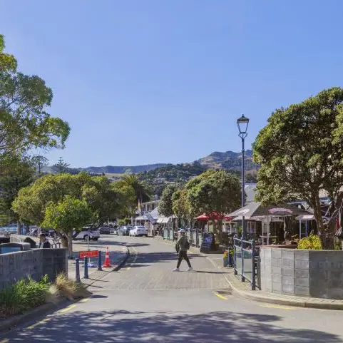 Tree-damaged footpaths being repaired before busy summer
