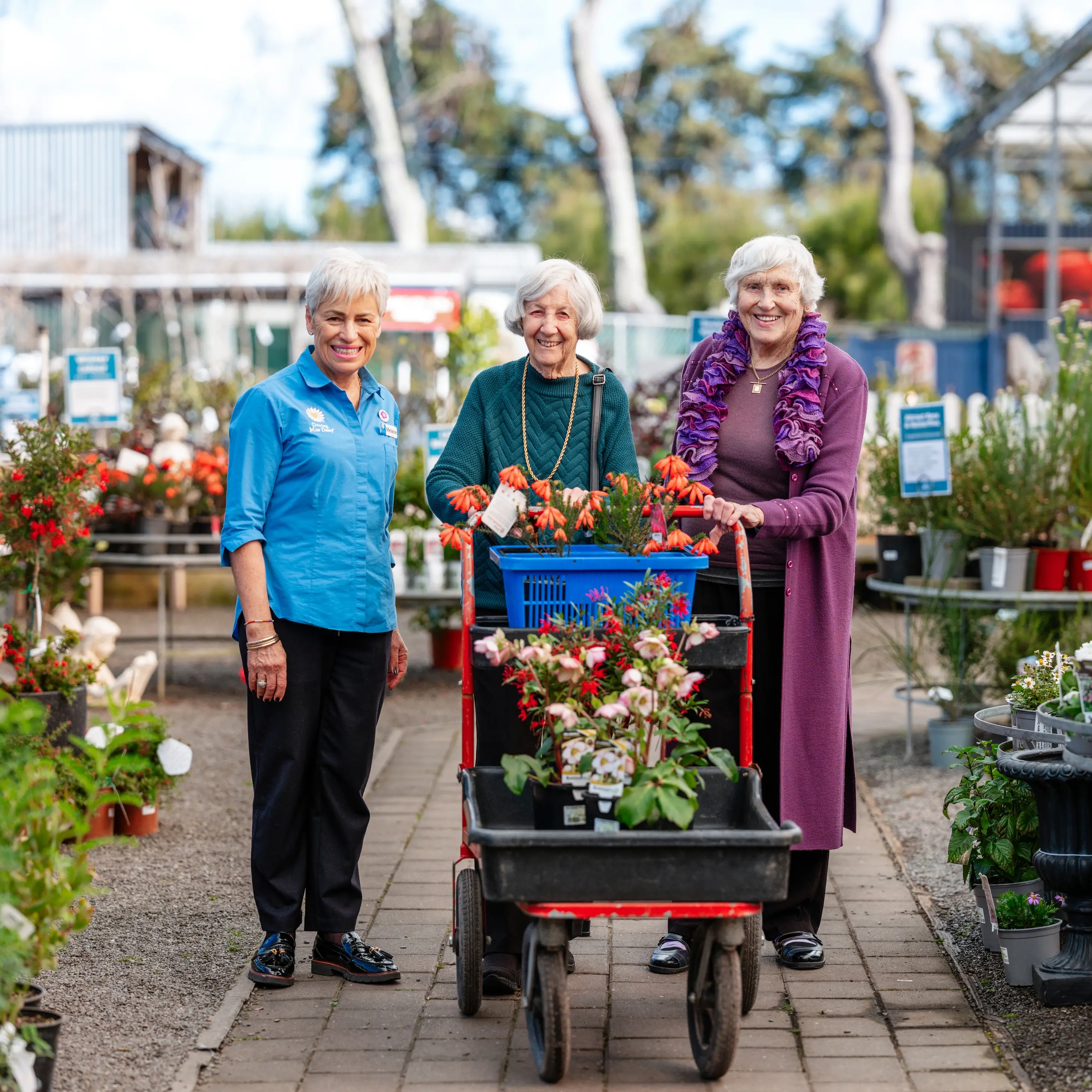 Stay Independent, Connected and Confident with Driving Miss Daisy