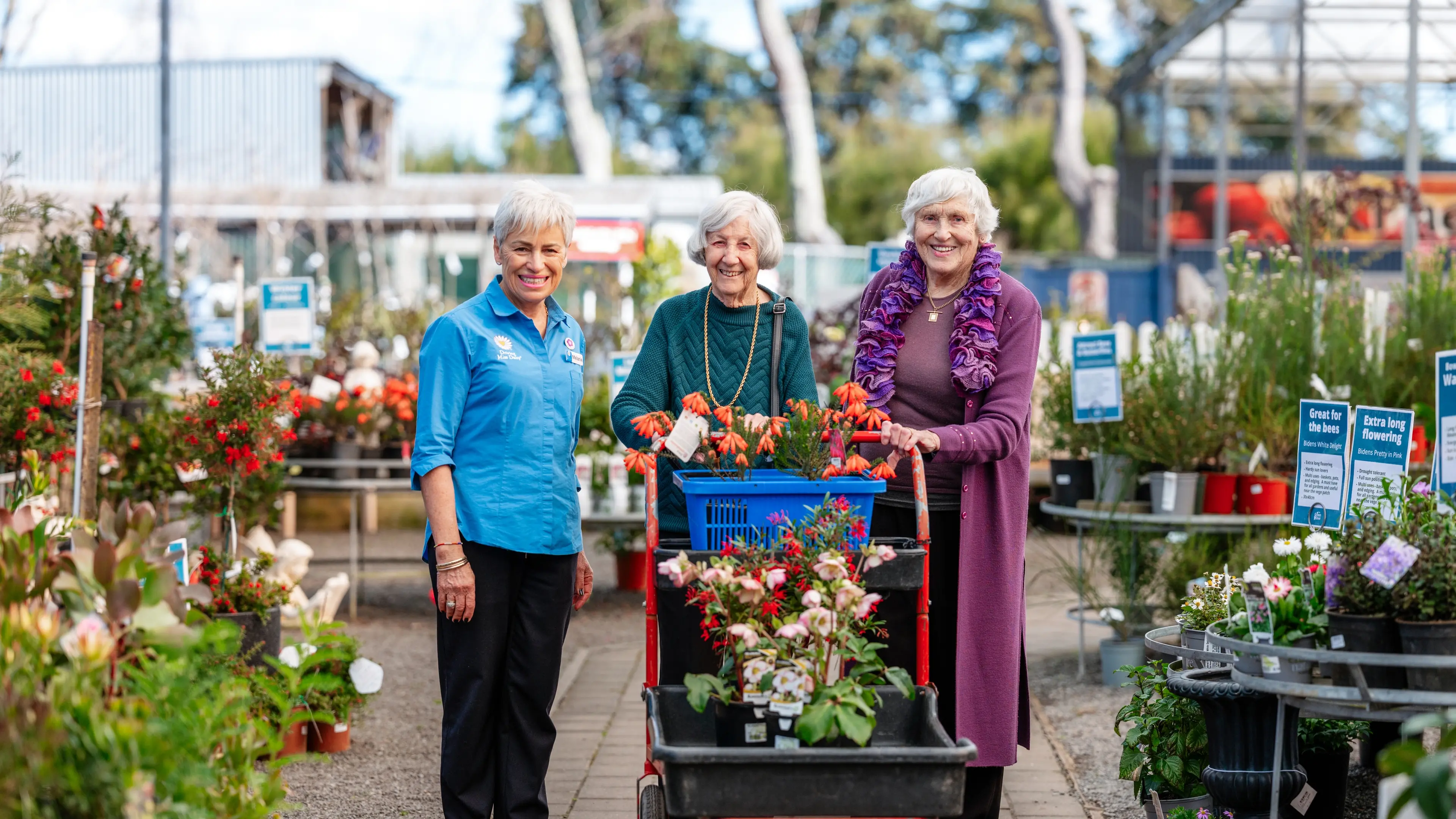 Stay Independent, Connected and Confident with Driving Miss Daisy