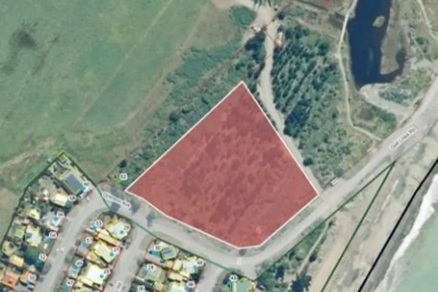 Dog park . . . The Hurunui District Council is proposing to create a dog park in the Grierson Plantation Reserve at Amberley Beach. Image: Hurunui District Council