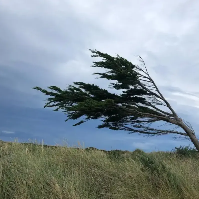 Wild weather hits Southland