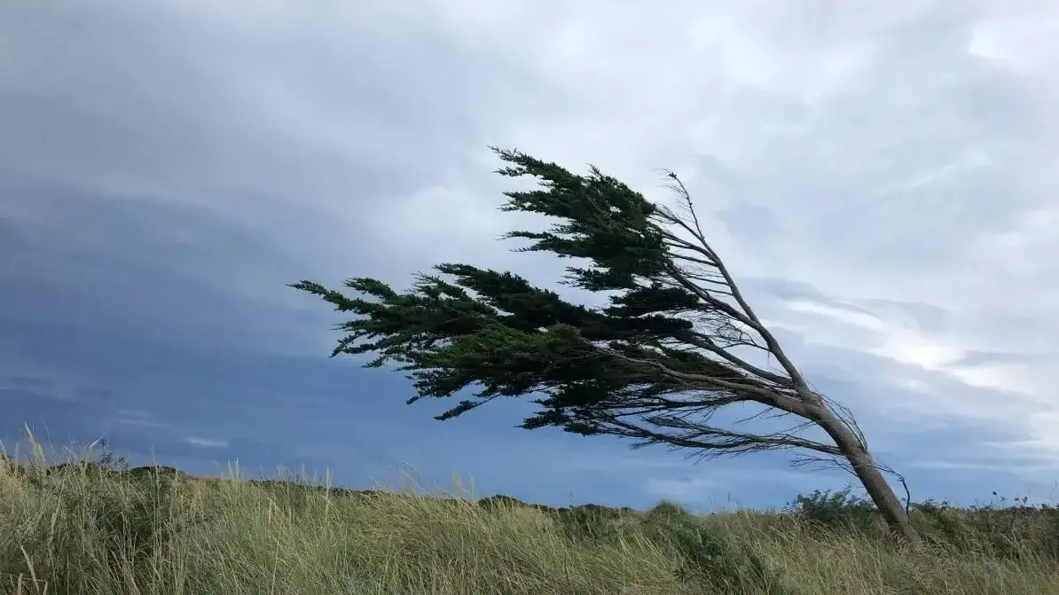 Wild weather hits Southland