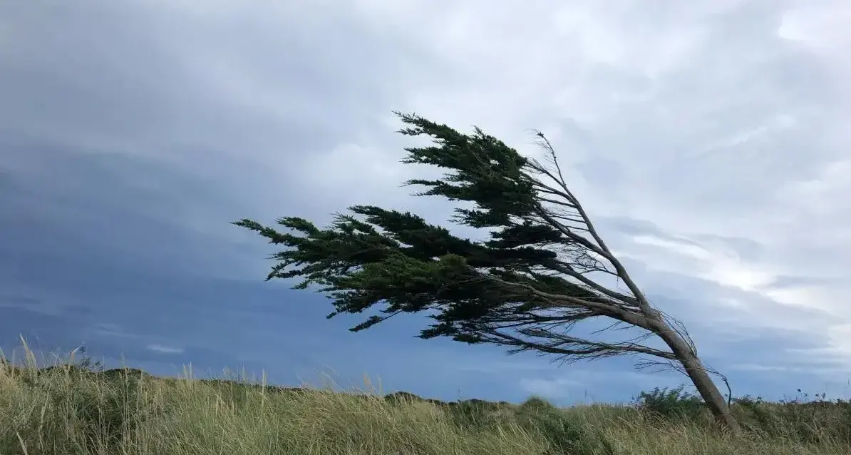 Wild weather hits Southland