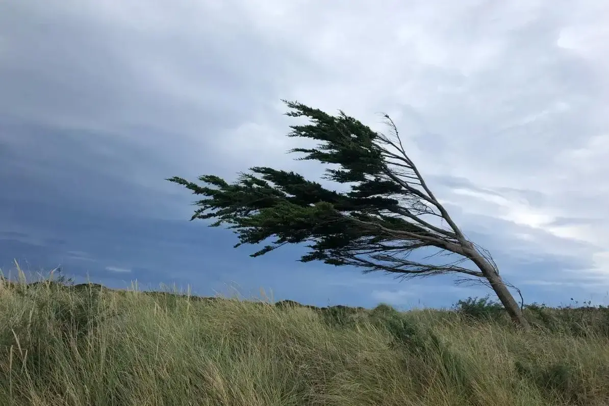 Wild weather hits Southland