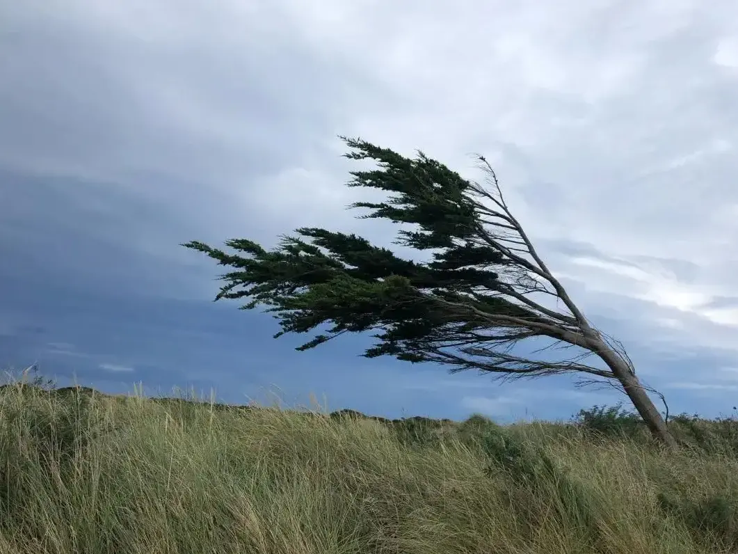 Wild weather hits Southland