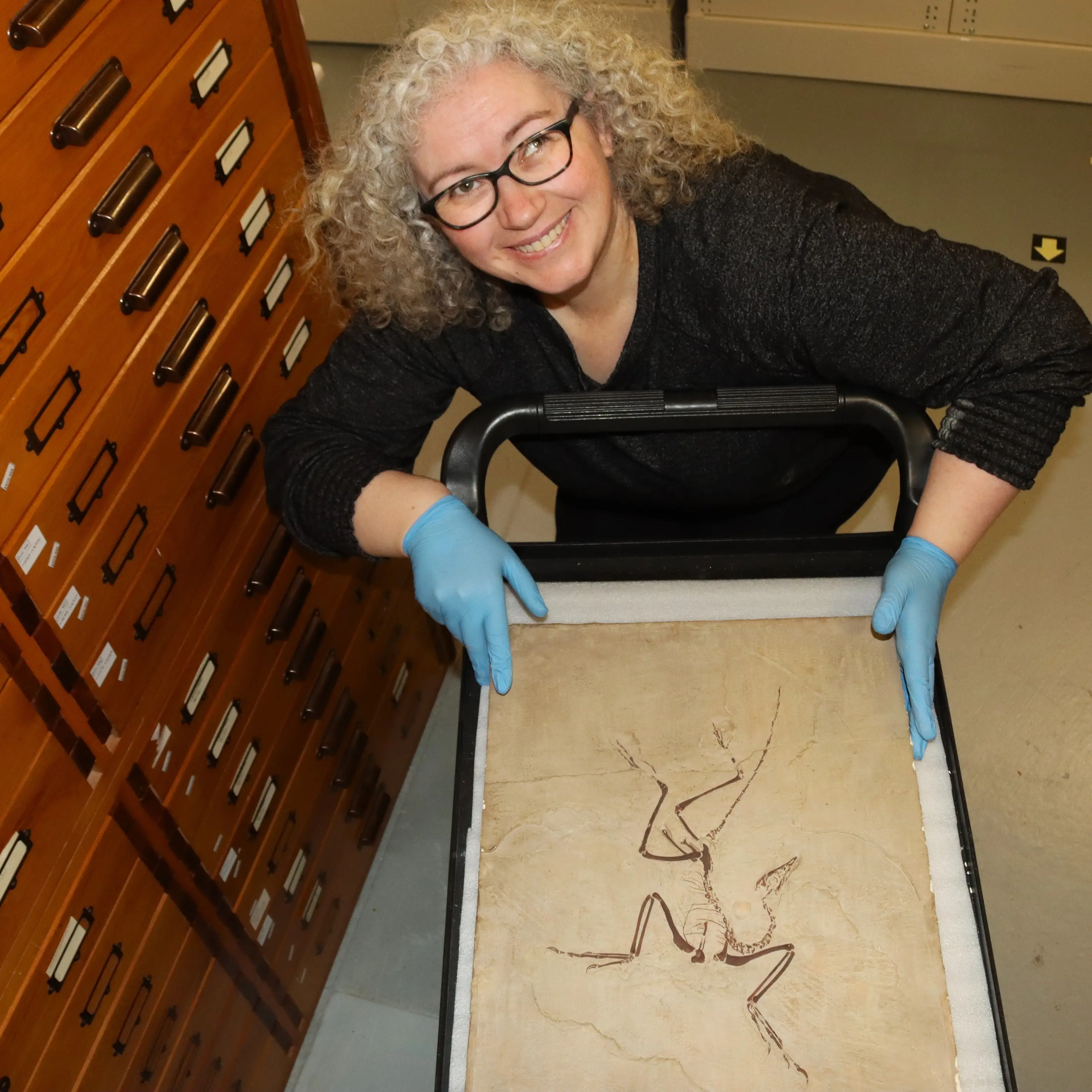 Prehistoric passion: Pioneering amateur's fossil discovery still inspires scientists today