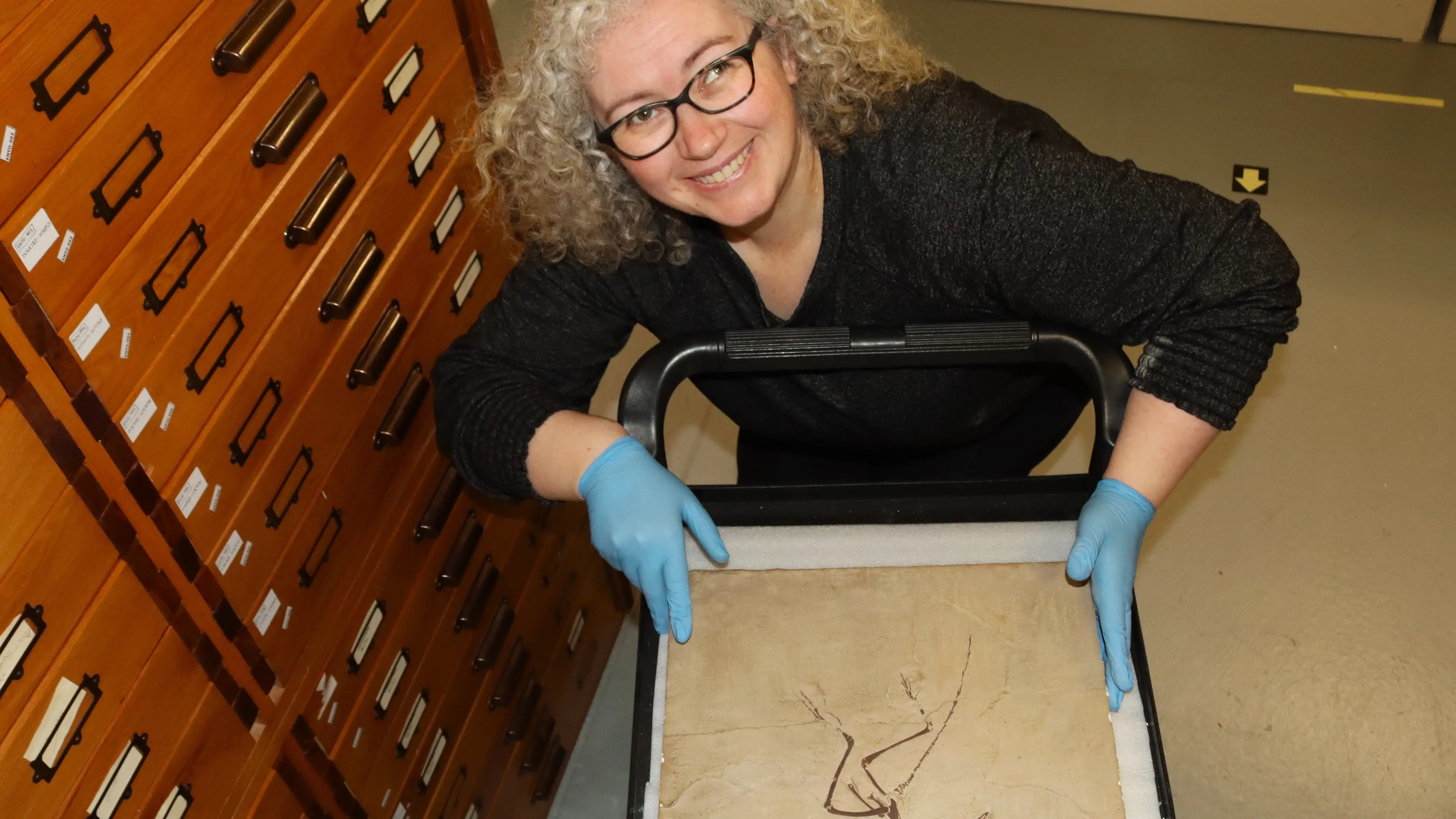 Prehistoric passion: Pioneering amateur's fossil discovery still inspires scientists today