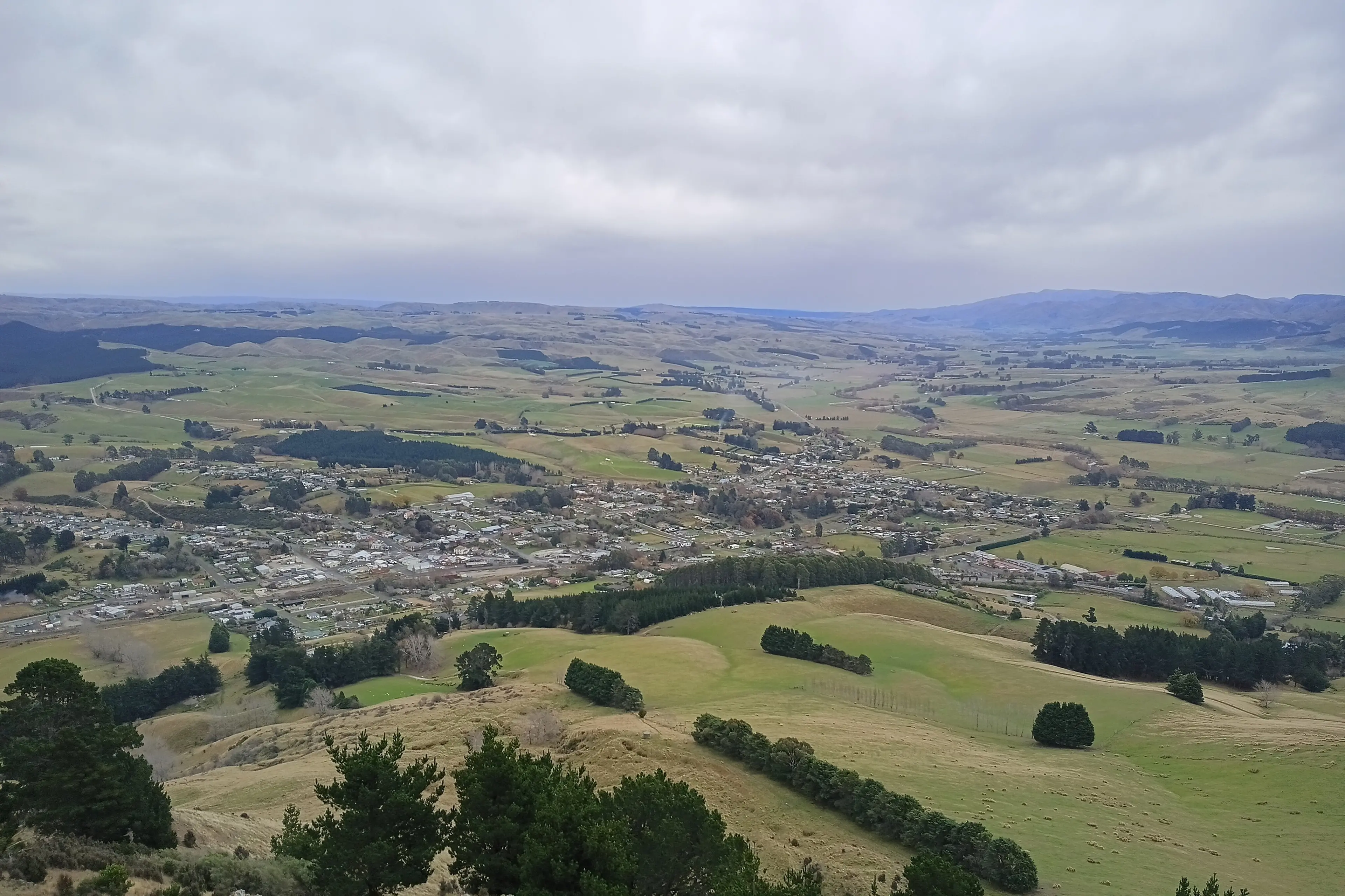 The town of Palmerston in the Waihemo ward, Waitaki district. Photo: Charley-Kai John.
