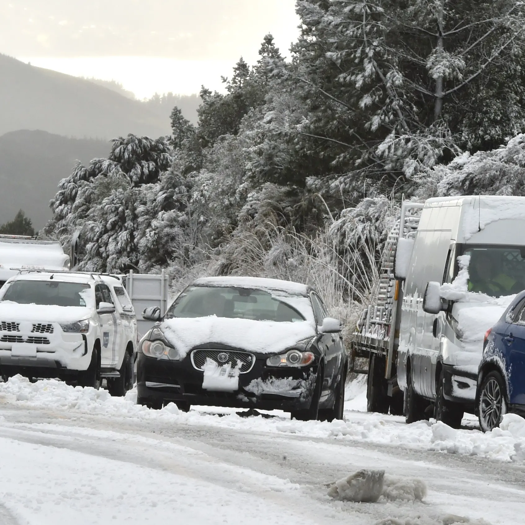 Snow threat eases after polar blast hits Dunedin