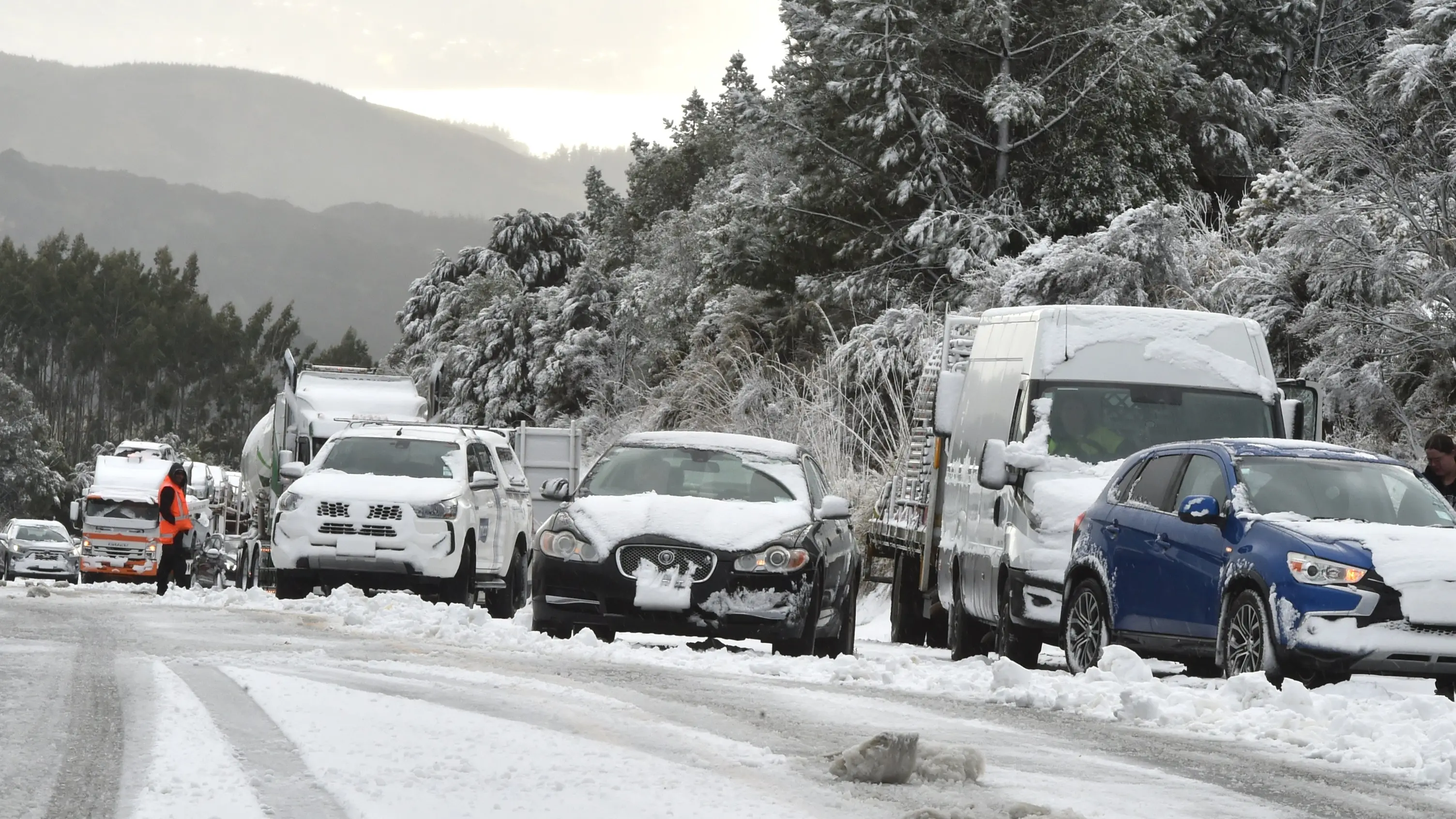Snow threat eases after polar blast hits Dunedin