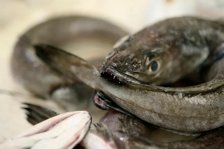 Man who left decapitated eels in neighbour’s letterbox fails to overturn conviction
