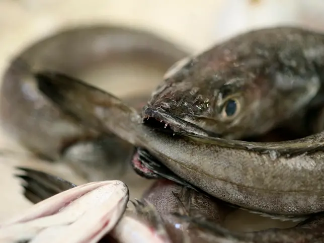 Man who left decapitated eels in neighbour’s letterbox fails to overturn conviction
