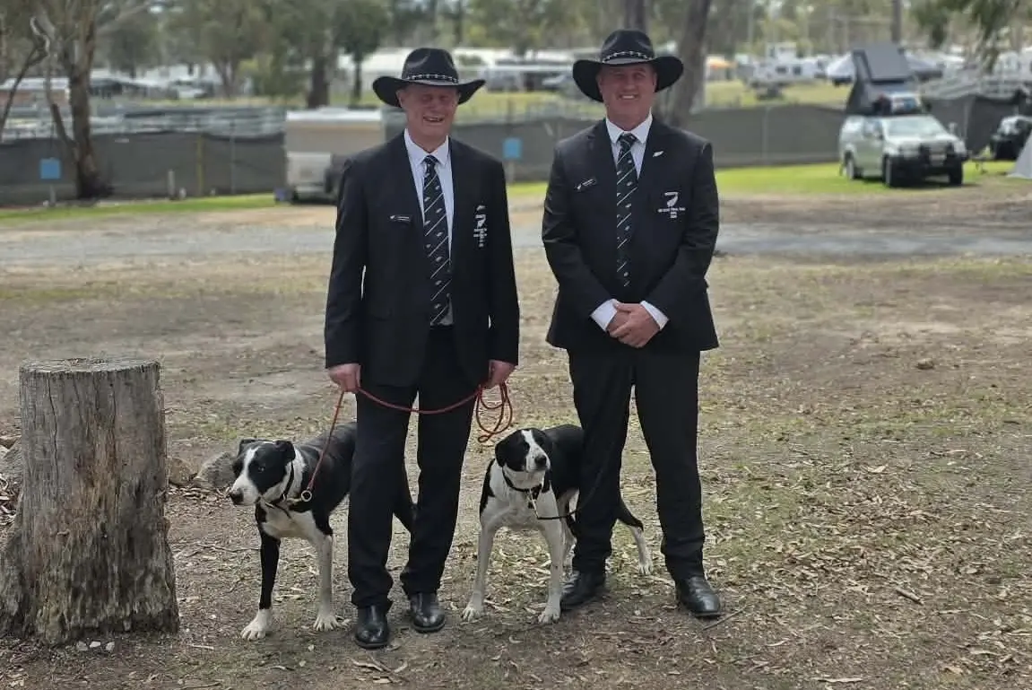 New Zealand sheep dog trial transtasman test team members Lloyd Smith and dog Guide, of Palmerston, and son-in-law Scott Hunter and dog Lucy, of Omarama, in Australia. Photo: Supplied