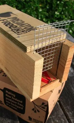 Matching a trap to the intended site, the pest\\u00A0you want to catch and the person using it are key decisions. Photo: Supplied