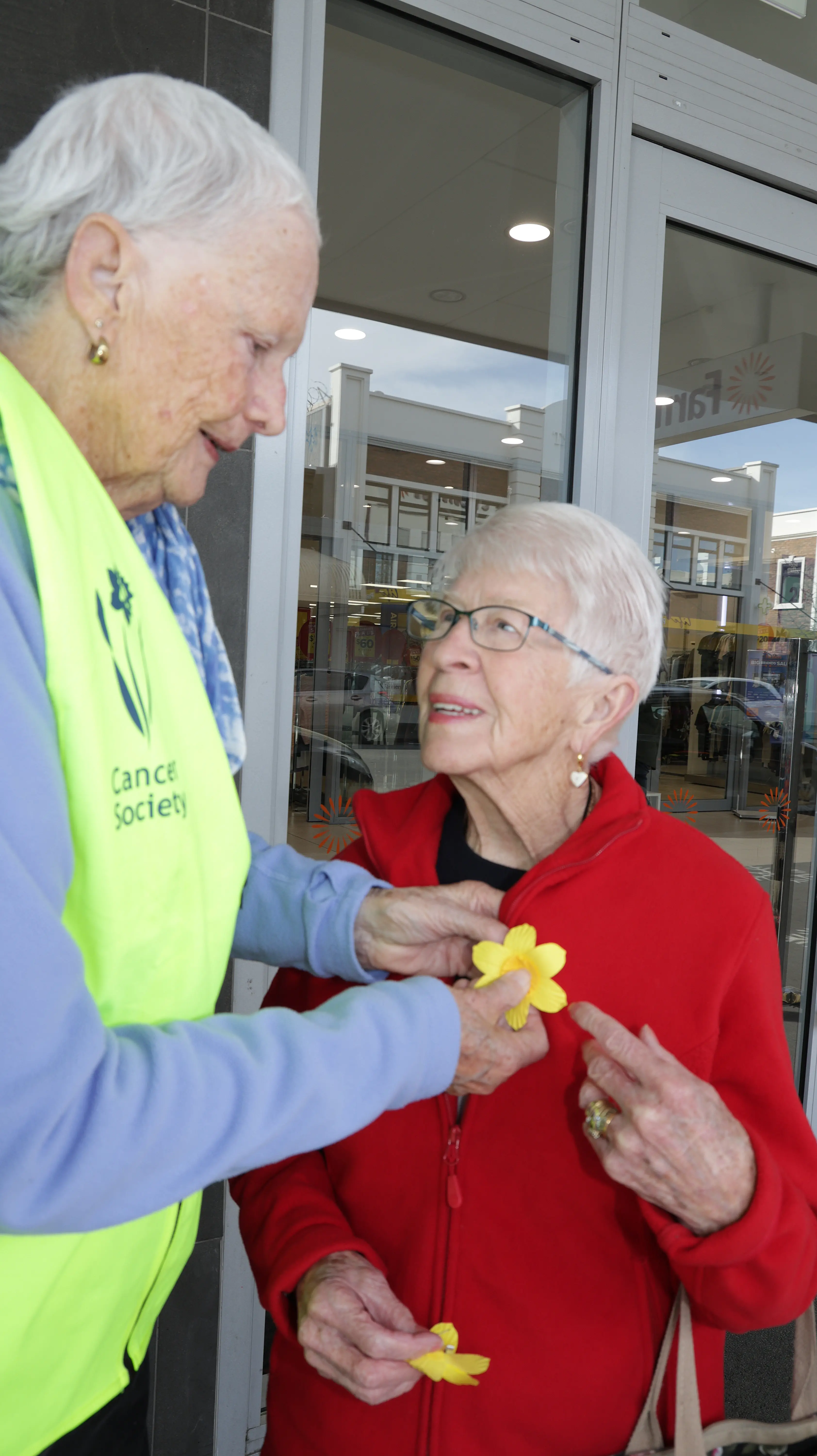 Nice . . . Cancer Society Volunteer Sue Weaver (left) pins a Daffodil Day flower onto Jean Rose as part of the Cancer Society\\u2019s annual Daffodil day appeal on the streets of North Canterbury. Photo: John Cosgrove