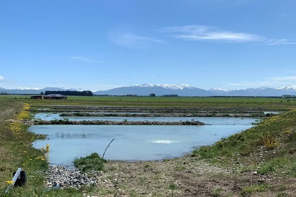 One of the Managed Aquifer Recharge ponds on the Hekeao/Hinds Plains, where water infiltrates through the land surface and down to aquifers. Photo: Supplied