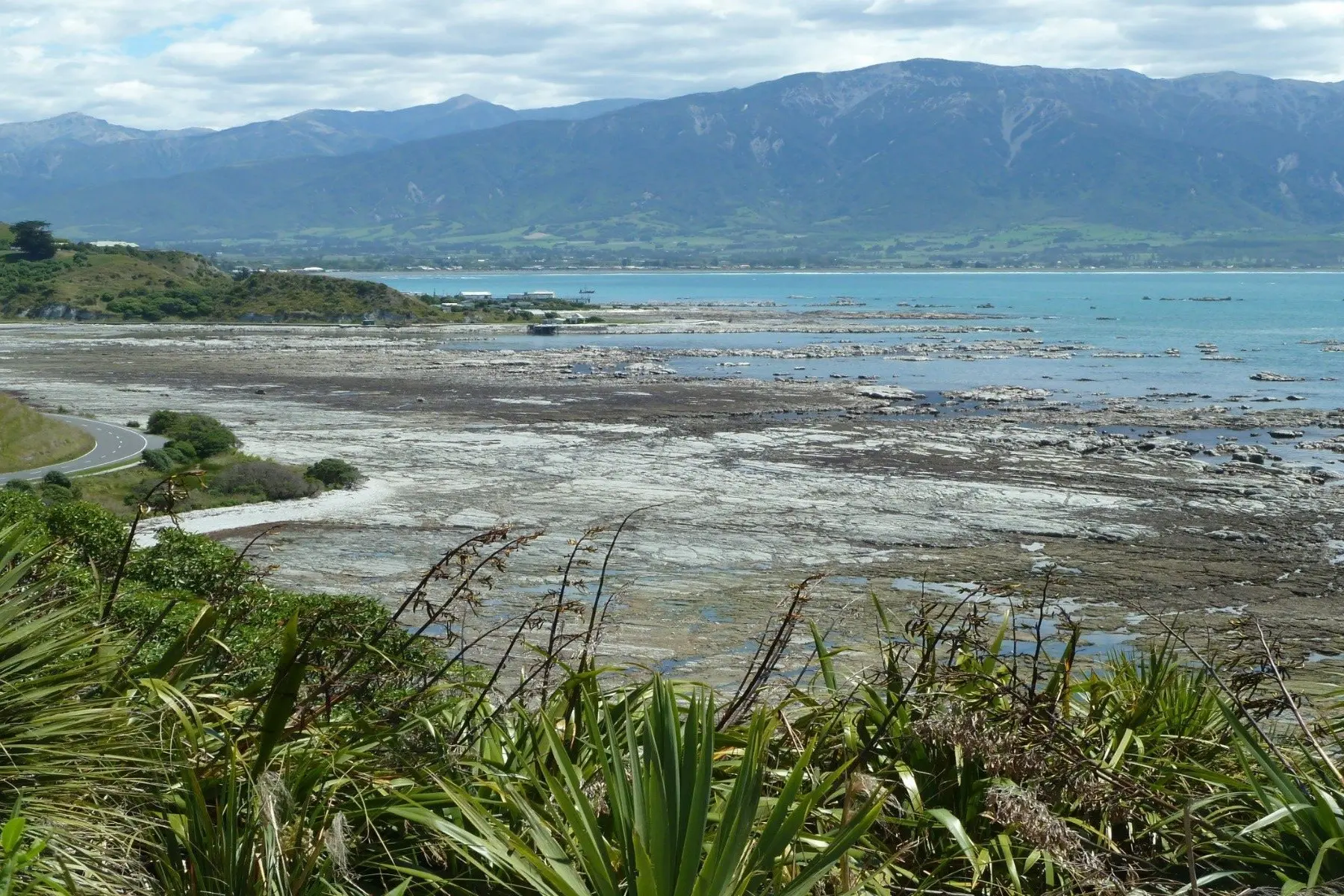 The view from Point Kean, looking northwest towards Mt Fyfe on the Kaik\\u014Dura Peninsula, showing the uplifted shore platform, four weeks after the 2016 earthquake. Photo: Supplied