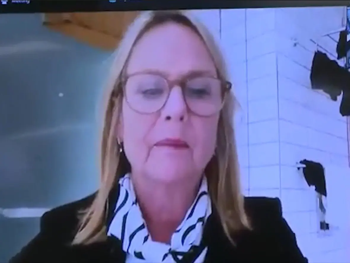 Cr Galer ‘open to offers’ from Victoria’s Secret after viral undies video