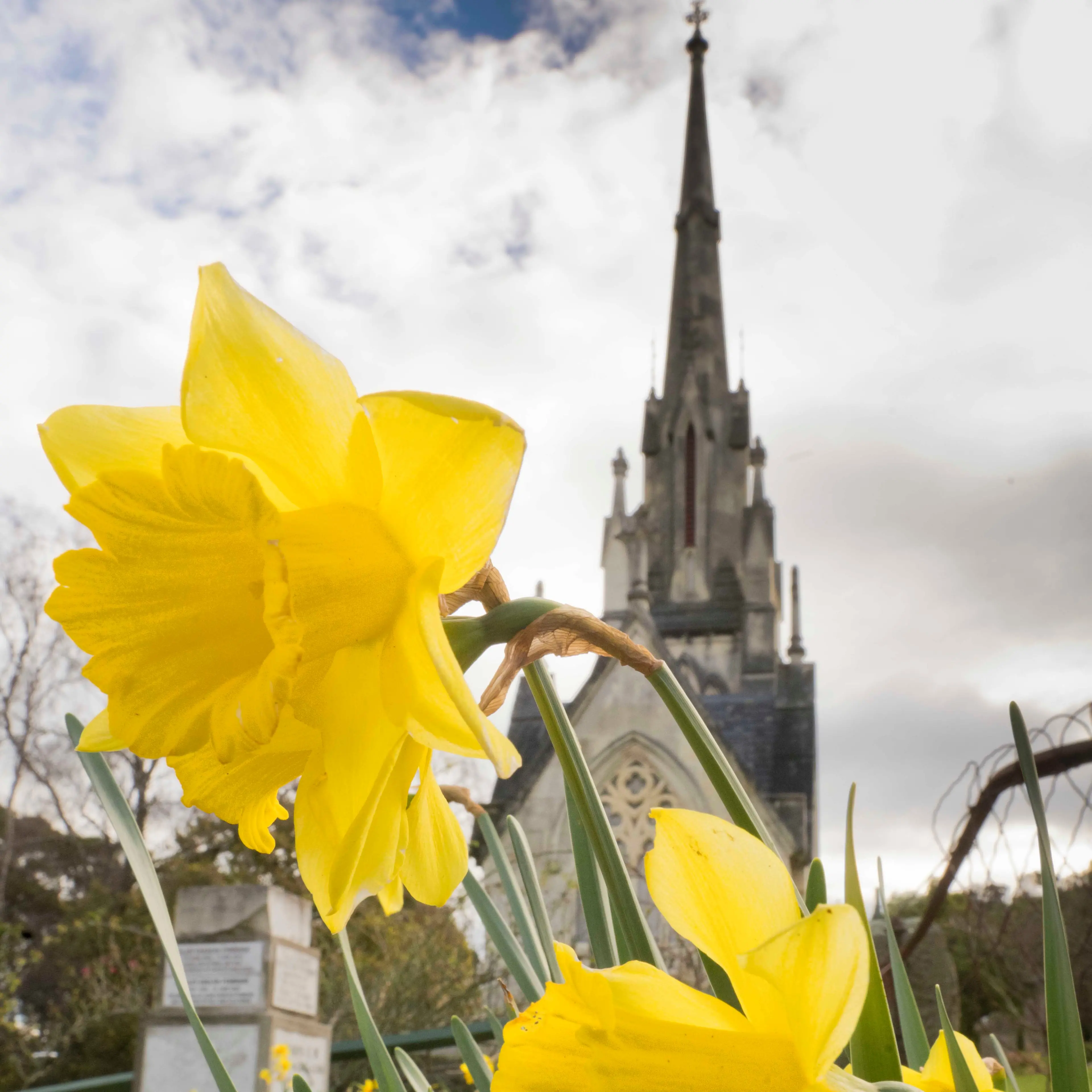 ‘Bubble’ over Dunedin keeps the snow away