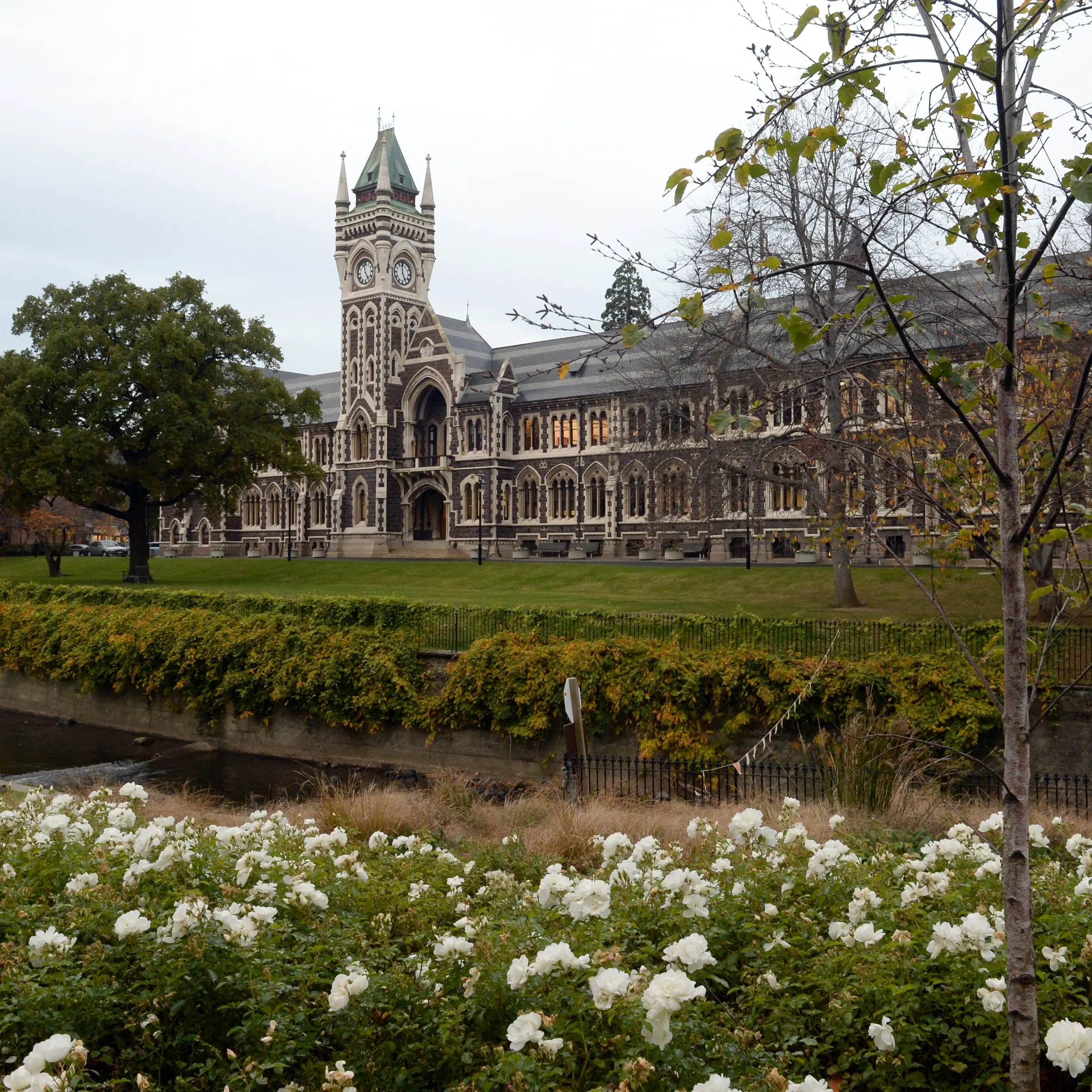 Uni foundation trust donations bounce back