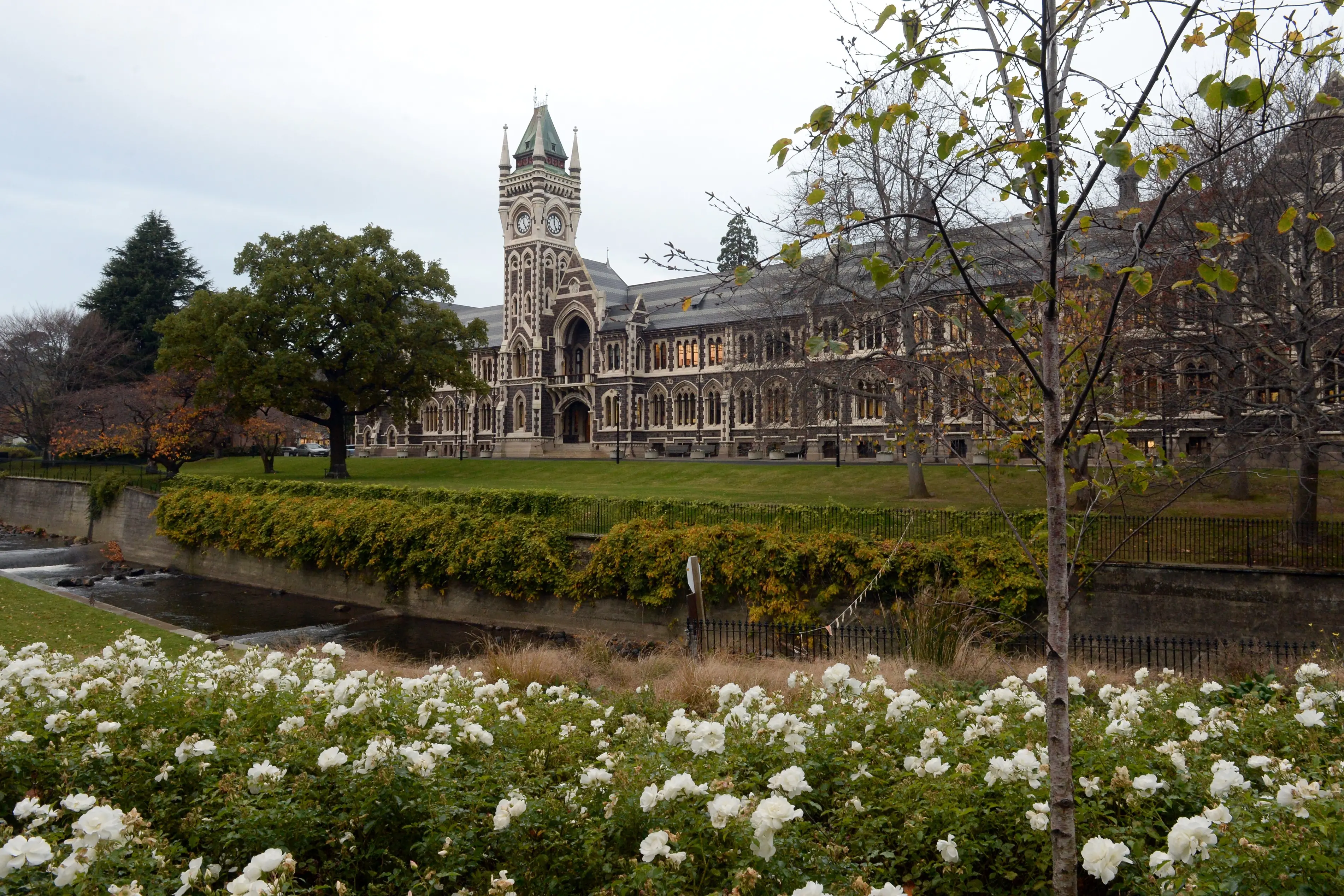 The University of Otago. Photo: Linda Robertson