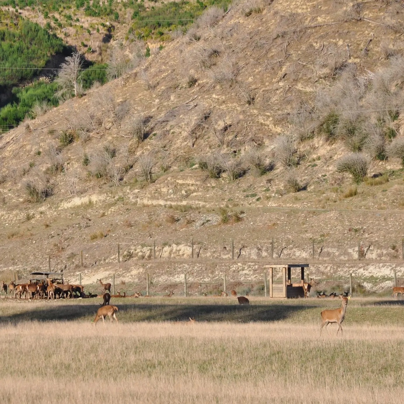 El Niño expected to be 'strongest in recent history'