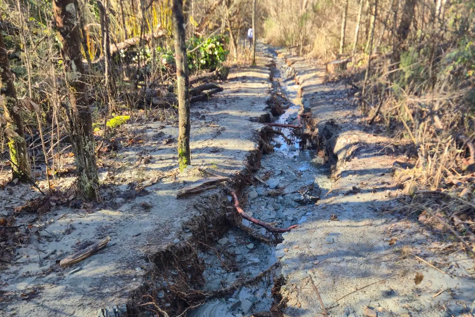 A river runs through it: A scoured-out section of the Bush Creek Trail. Photo: Queenstown Trails Trust