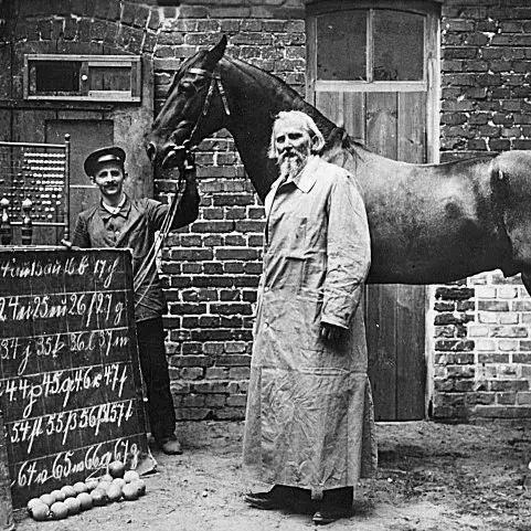 Horse’s hunches changed science