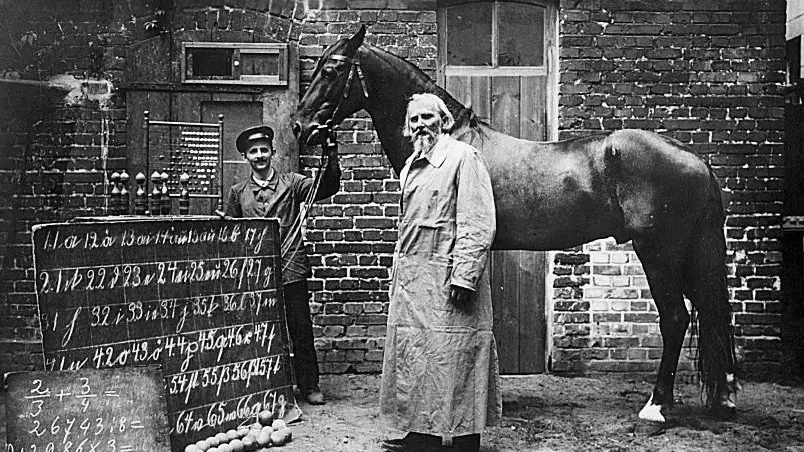 Horse’s hunches changed science