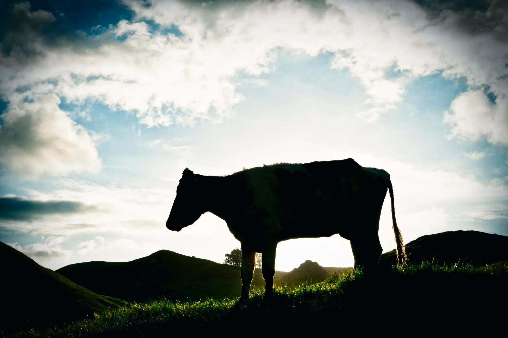 <p>File photo: Getty Images</p>\\n