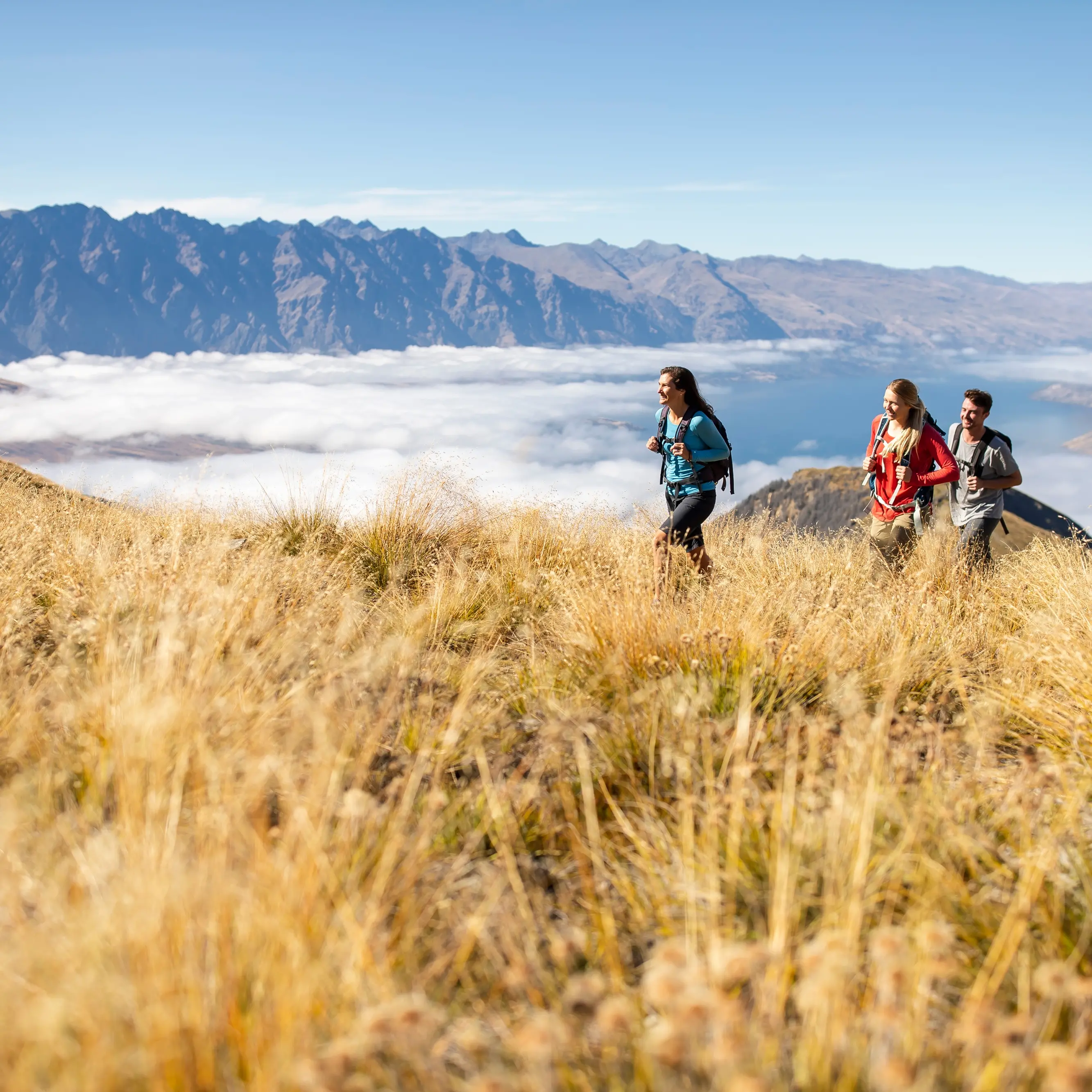 Otago, Southland and Canterbury’s grunty economies top a sluggish national recovery