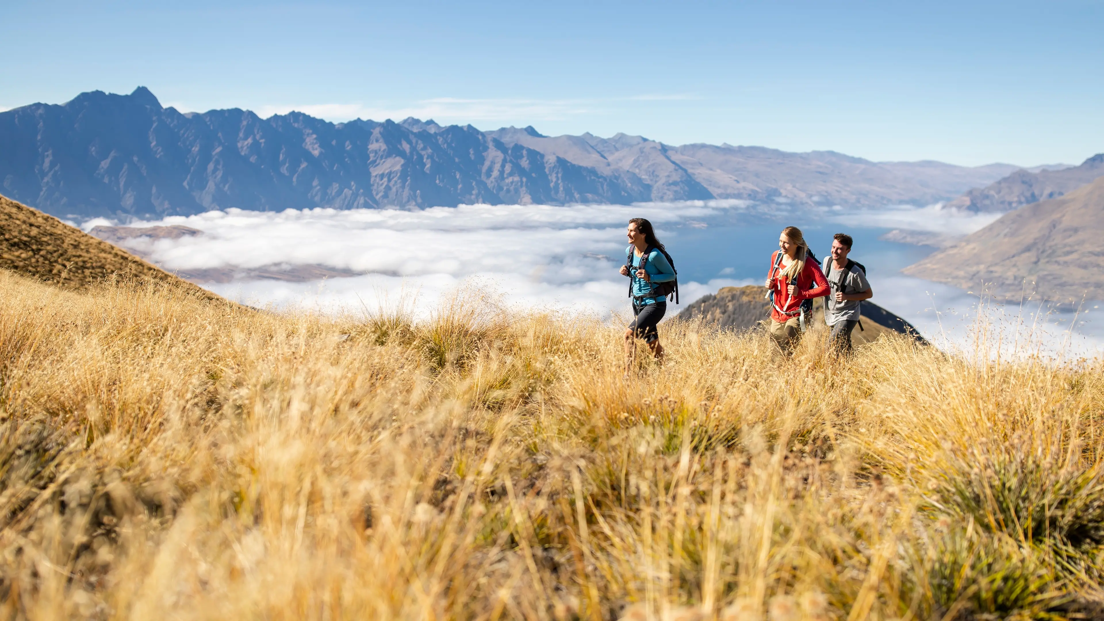 Otago, Southland and Canterbury’s grunty economies top a sluggish national recovery