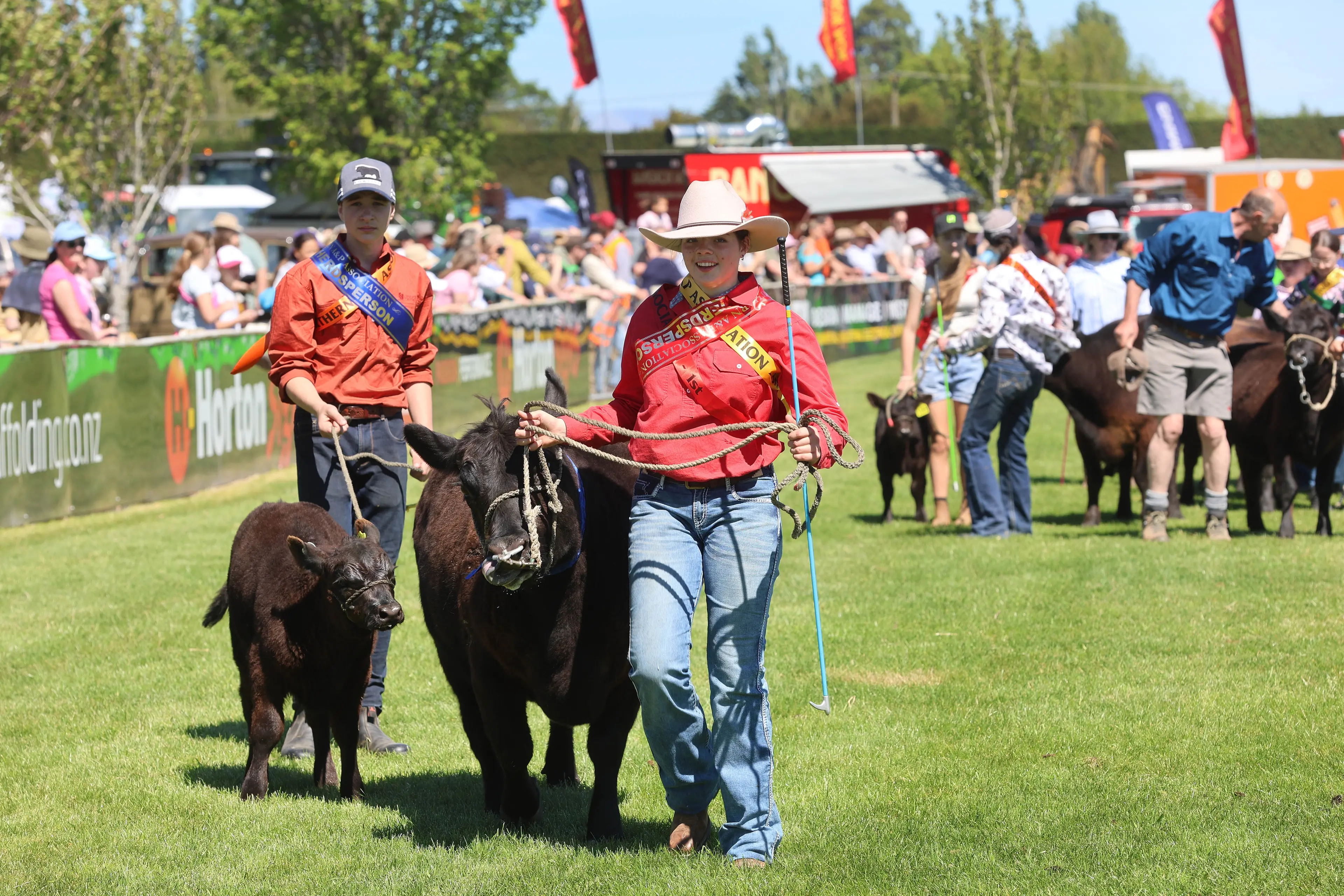 Country on display . . . The large crowd at last years Northern A&P Show enjoyed the live-stock taking part in the \\ngrand parade. Photo: John Cosgrove