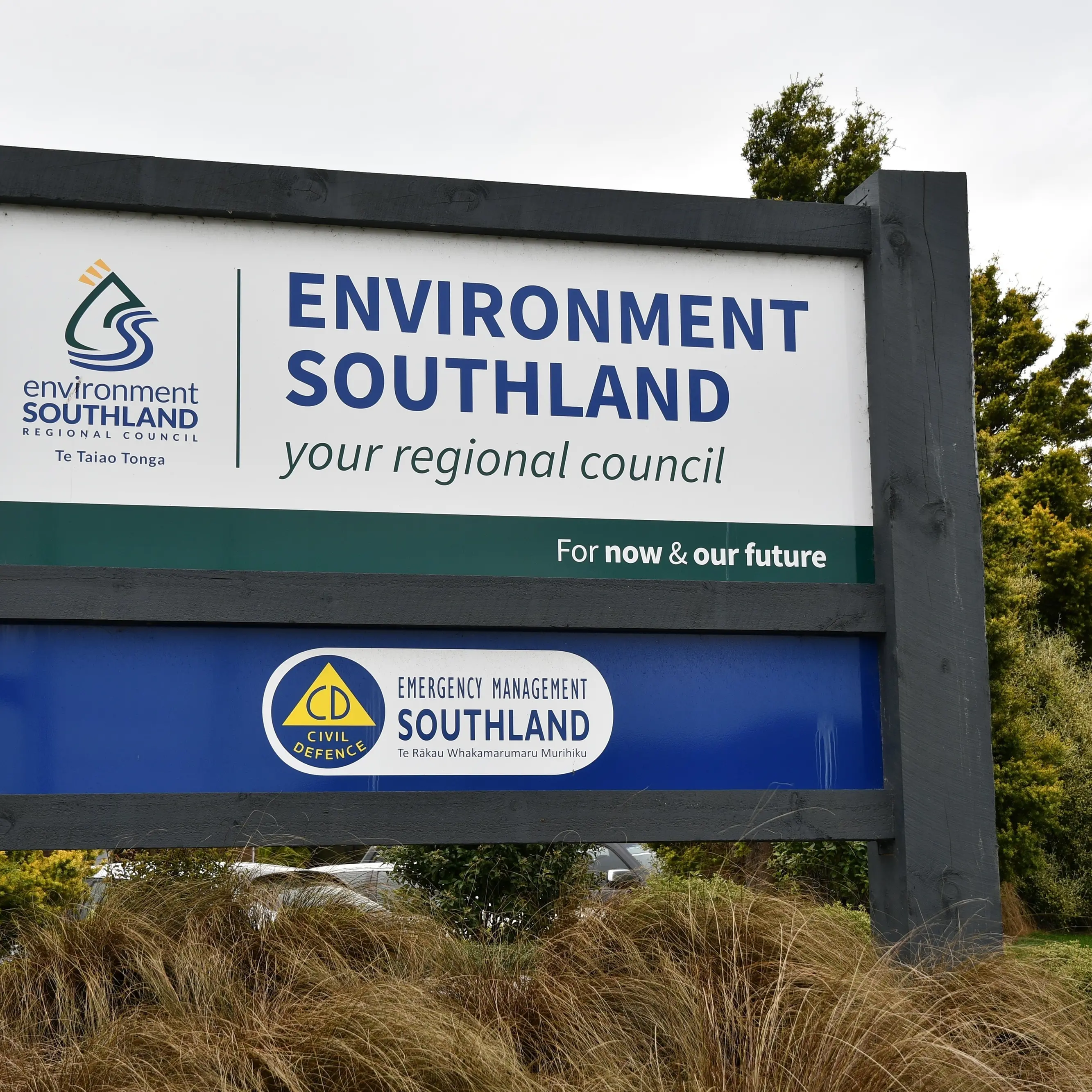 Council forced to choose voting system it may never use