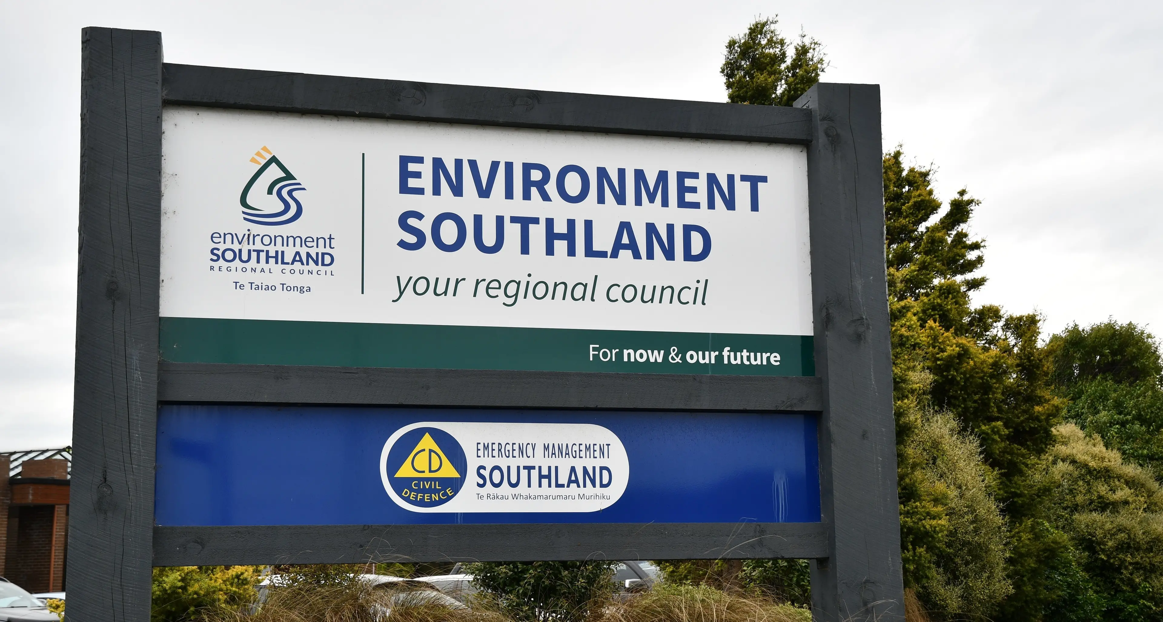 Council forced to choose voting system it may never use