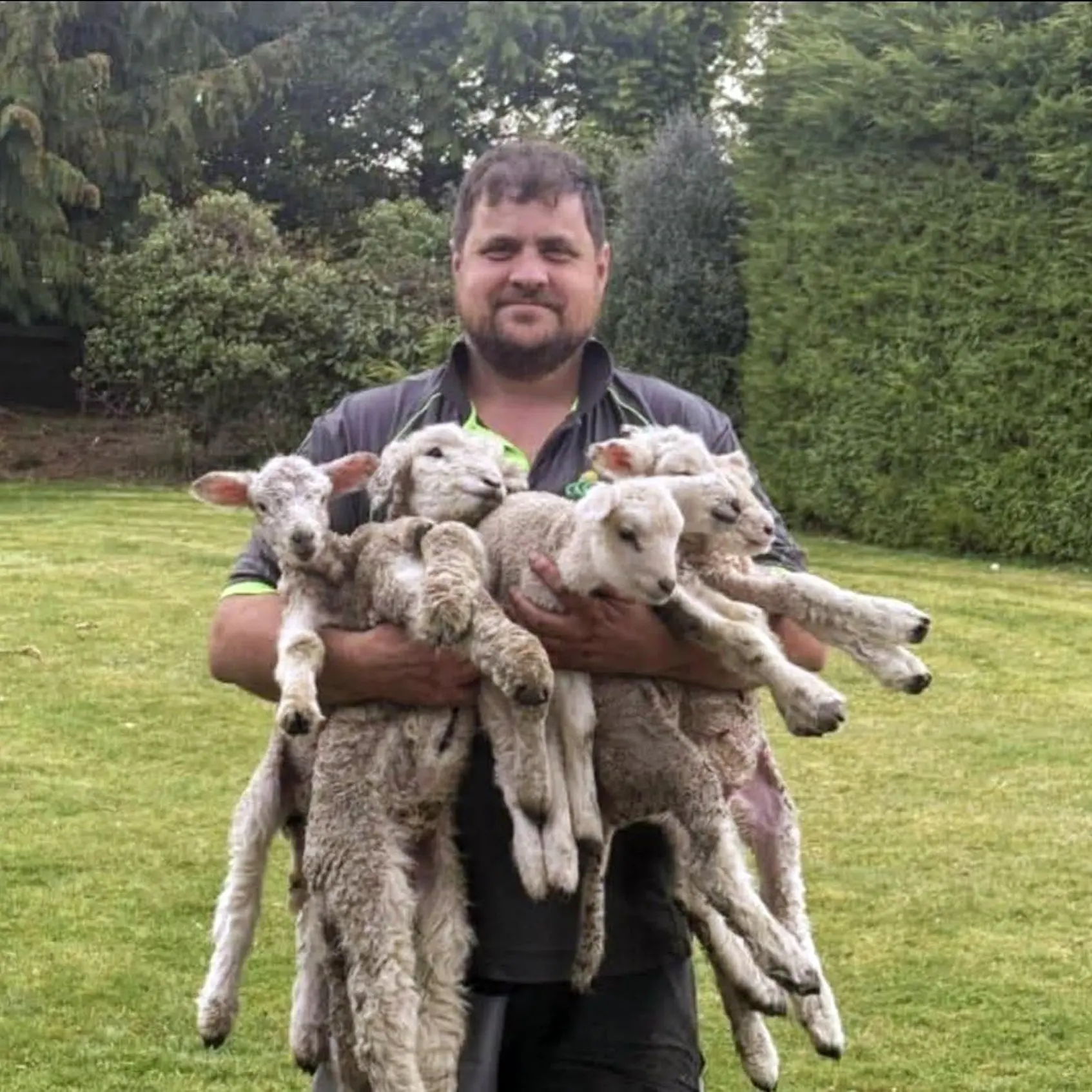 Forward-thinking Taieri farmer lambing early to avoid potential of October snow and summer dry