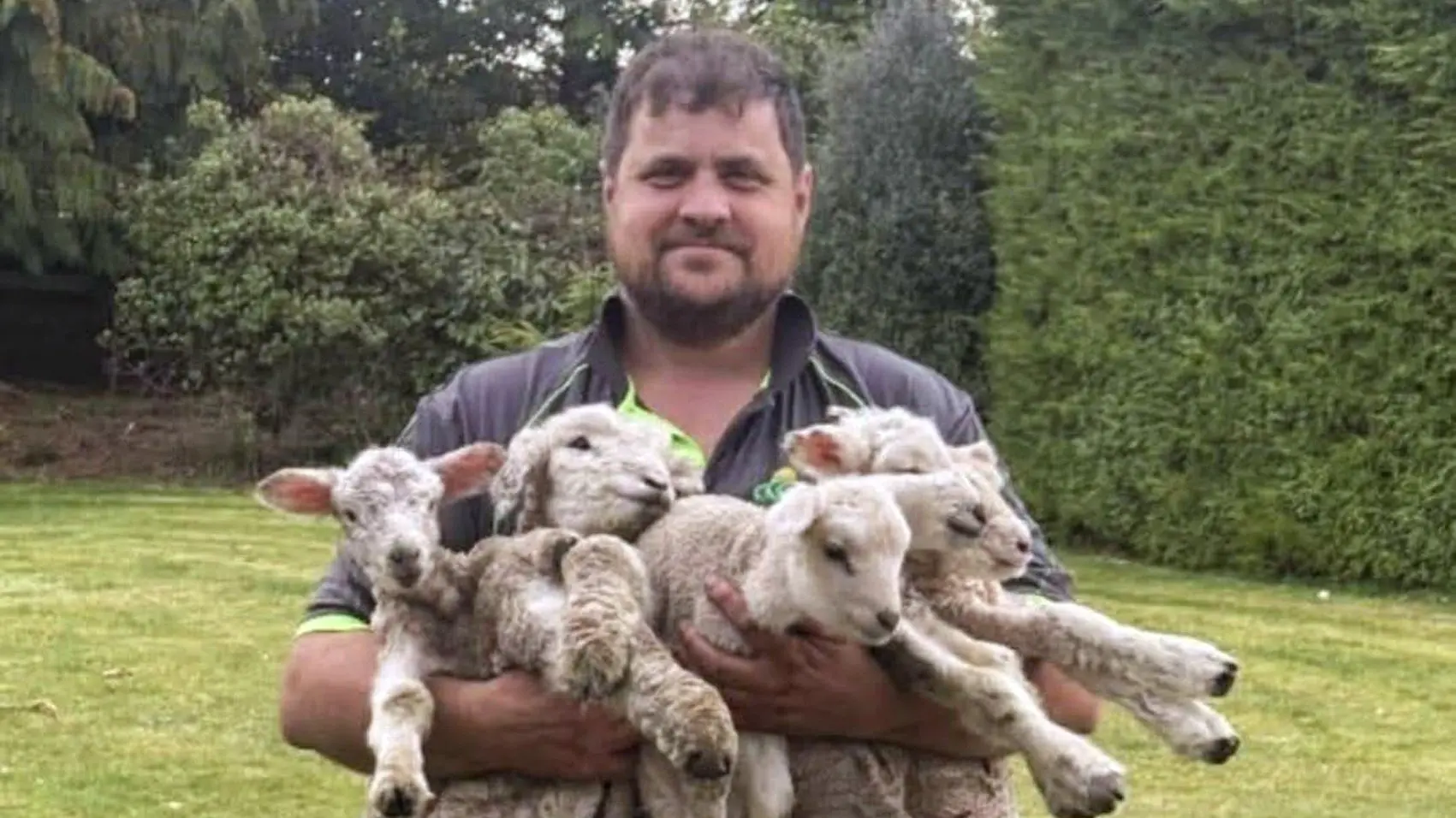 Forward-thinking Taieri farmer lambing early to avoid potential of October snow and summer dry