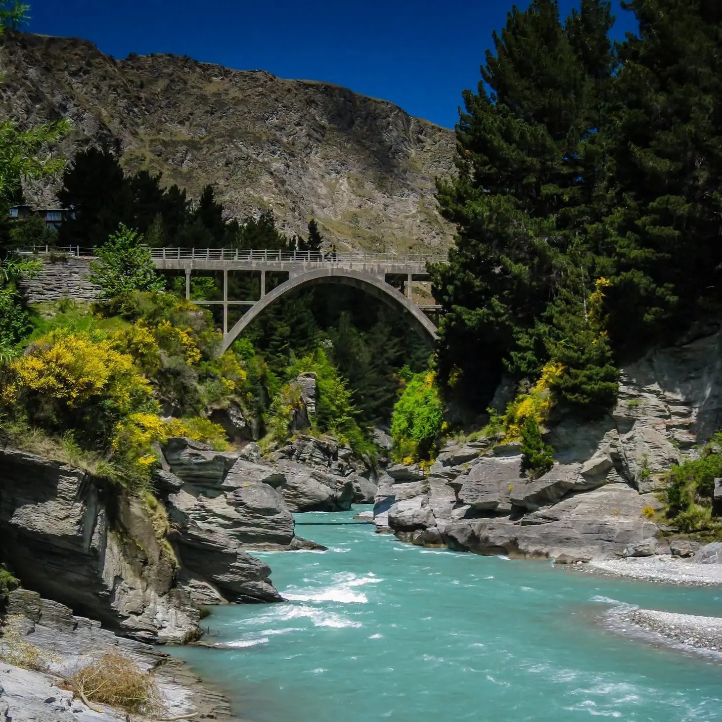 Key Queenstown bridge reopens after Milford Sound quakes