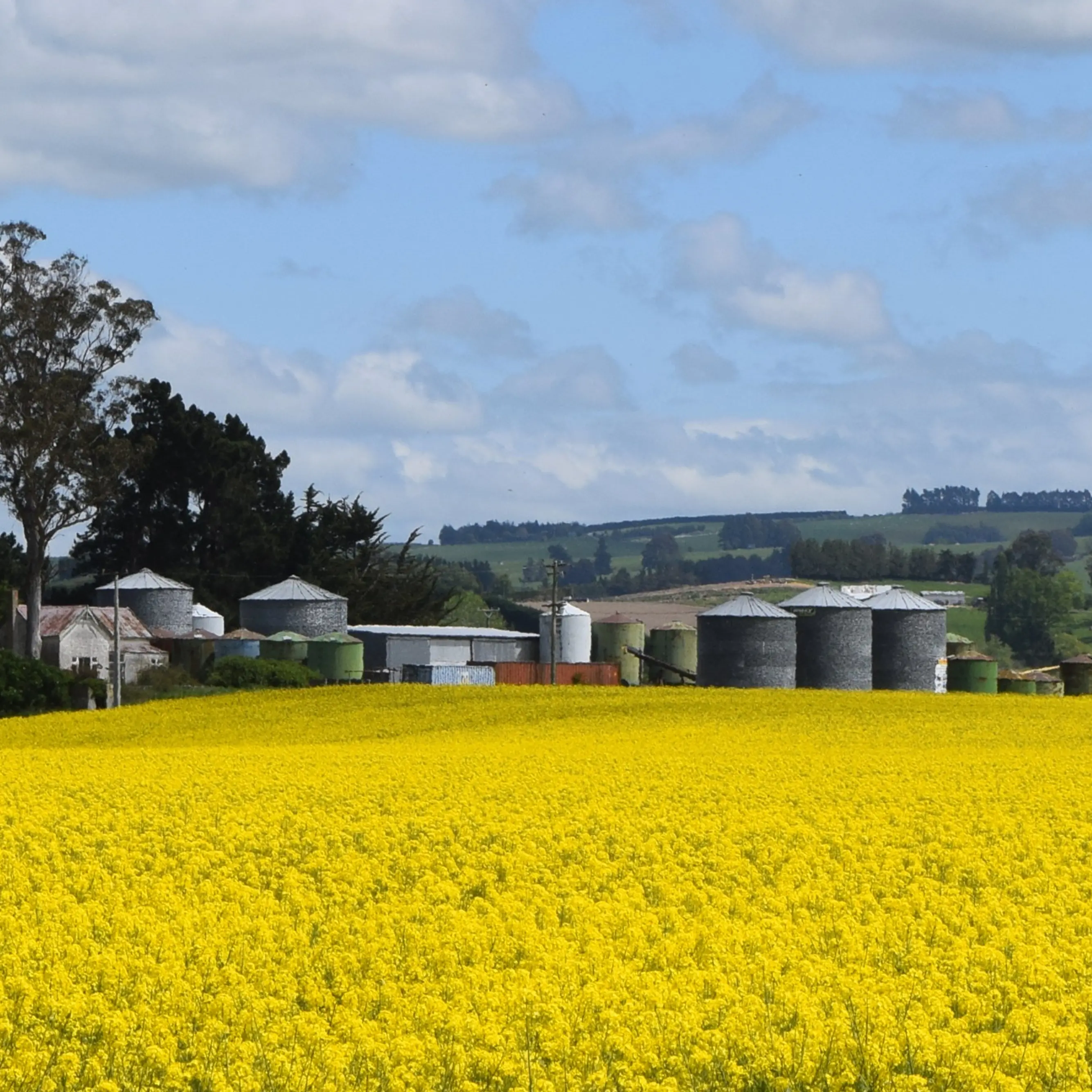 KiwiSaver legislation changes progress to open the farm gate to first-time buyers