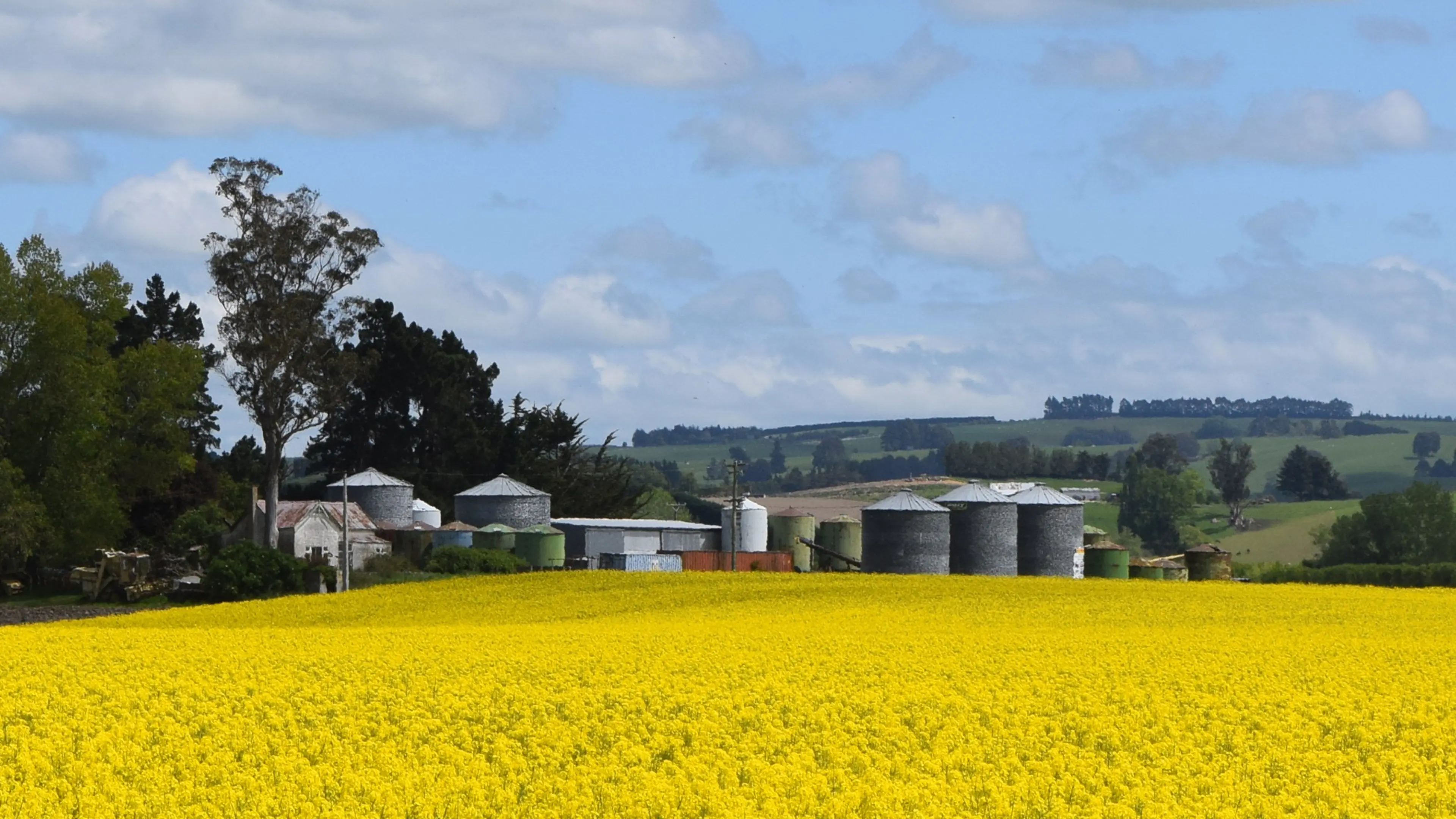 KiwiSaver legislation changes progress to open the farm gate to first-time buyers