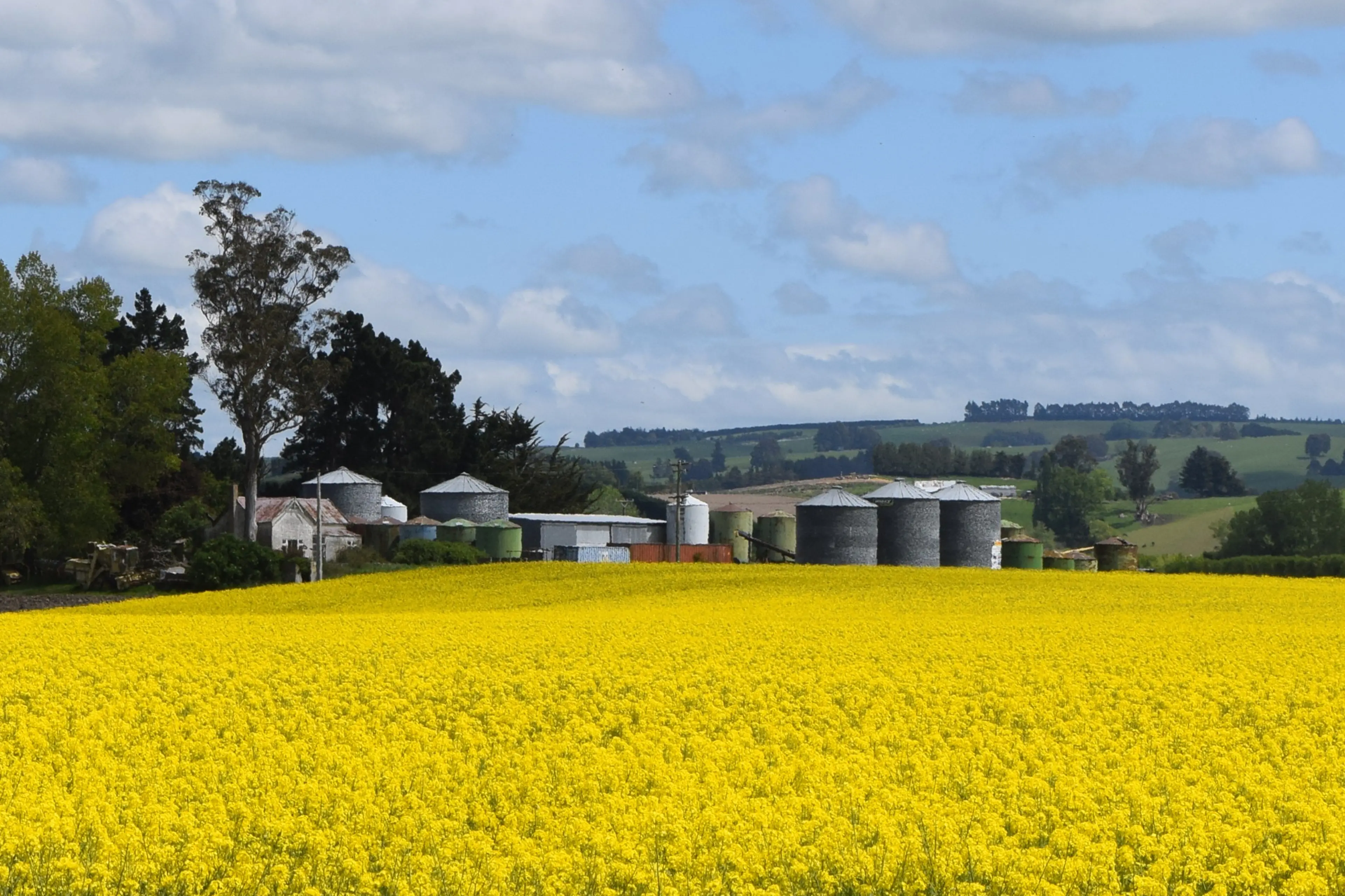 The KiwiSaver (First Home or Farm) Amendment Bill will allow farm staff and others living in service tenancies, such as rural teachers and country cops, to use their KiwiSaver to buy a house without immediately moving in.\\nThe Bill also allows first-time farm buyers to use their KiwiSaver towards a farm bought through a company, trust or partnership they majority own and control. Photo: Shawn McAvinue