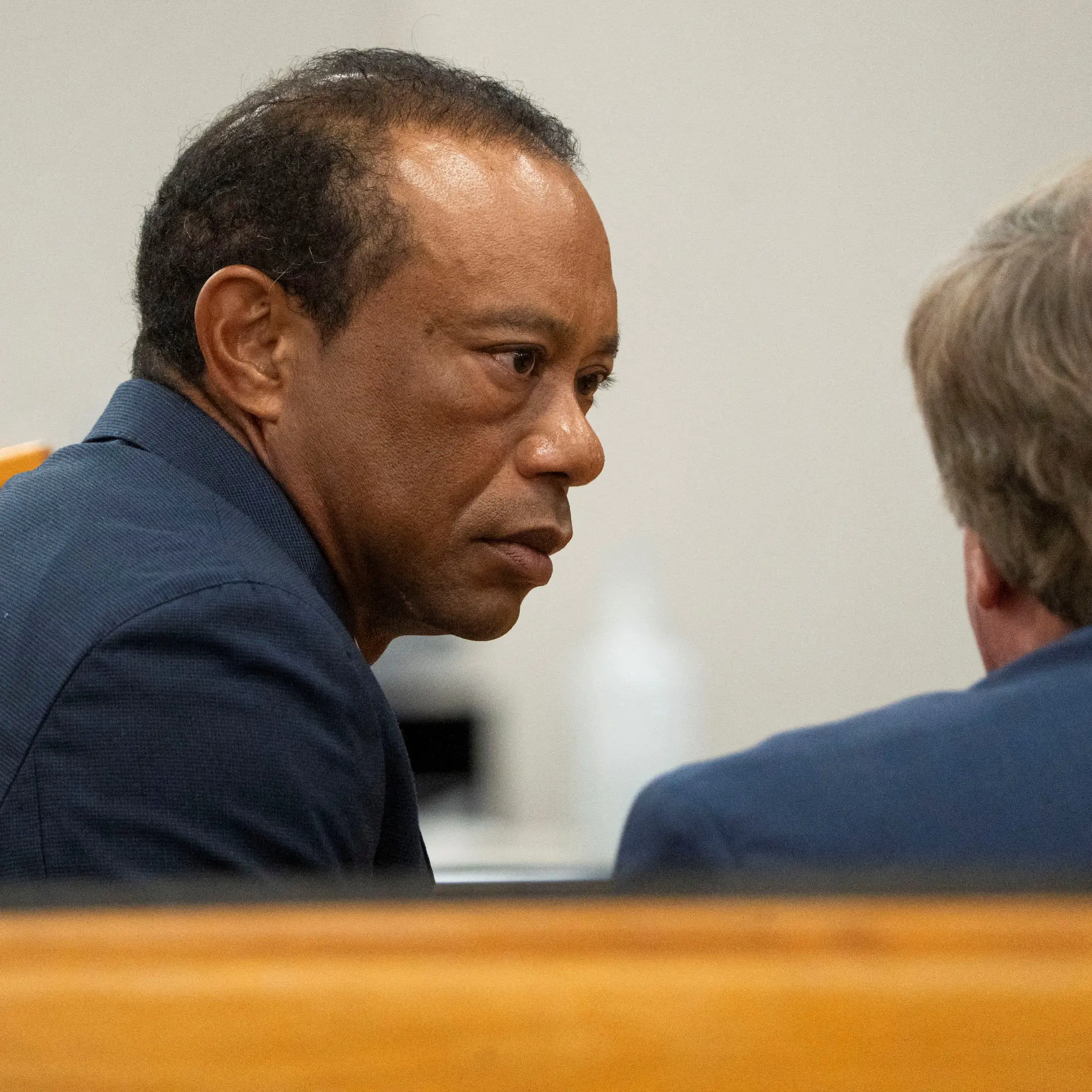 Tiger Woods loses licence for five years in plea deal