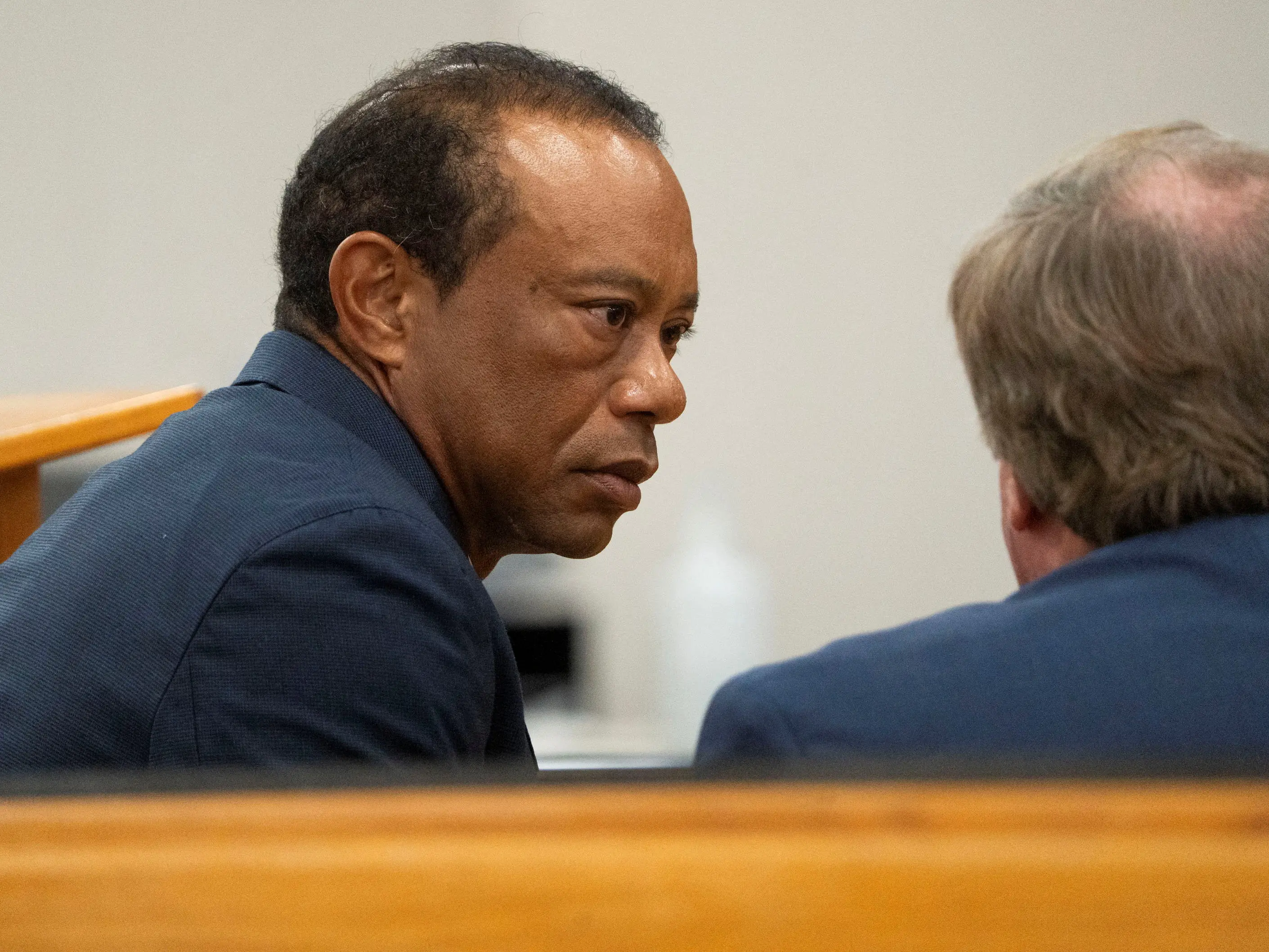 Tiger Woods loses licence for five years in plea deal