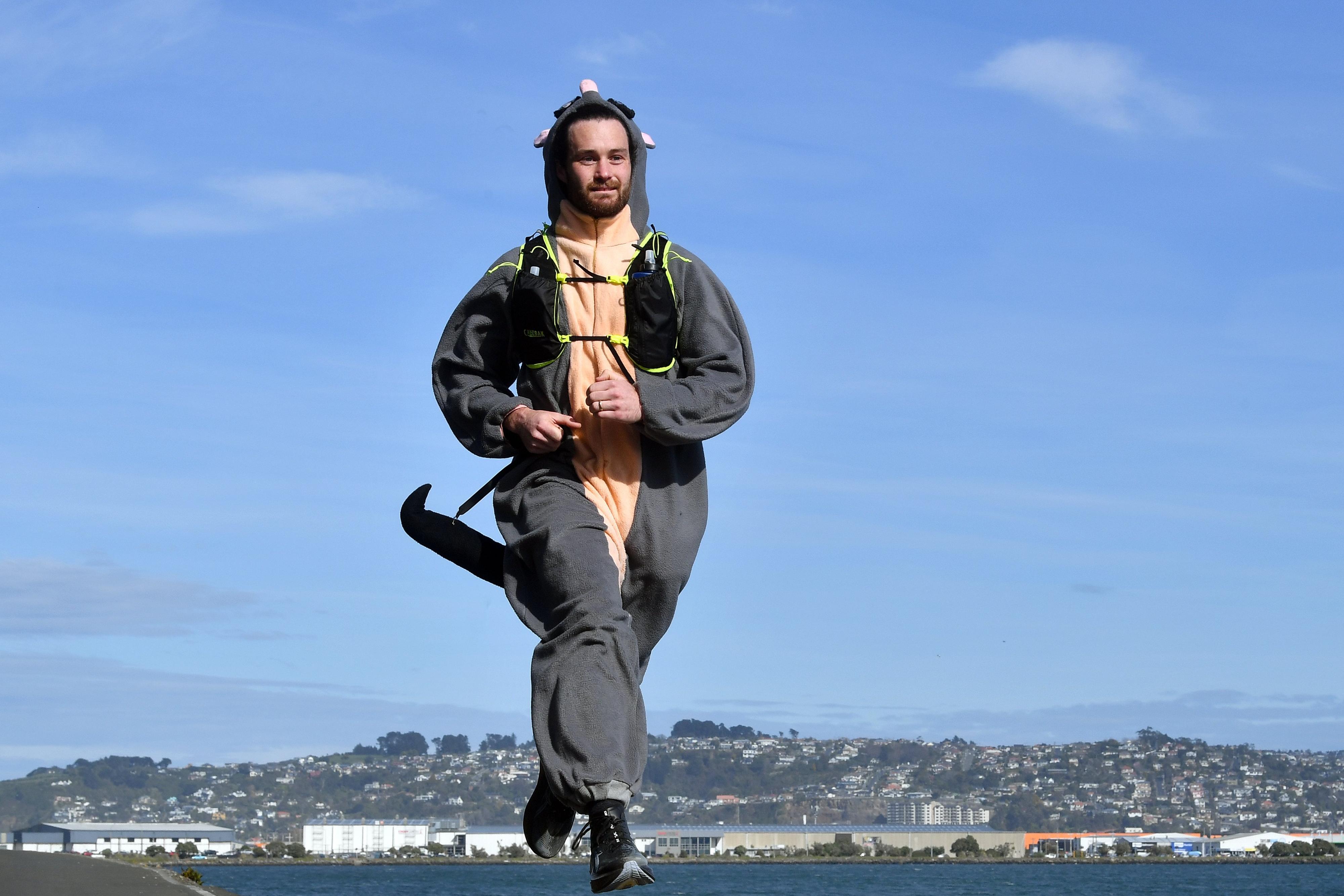 Possum to be spotted on the peninsula