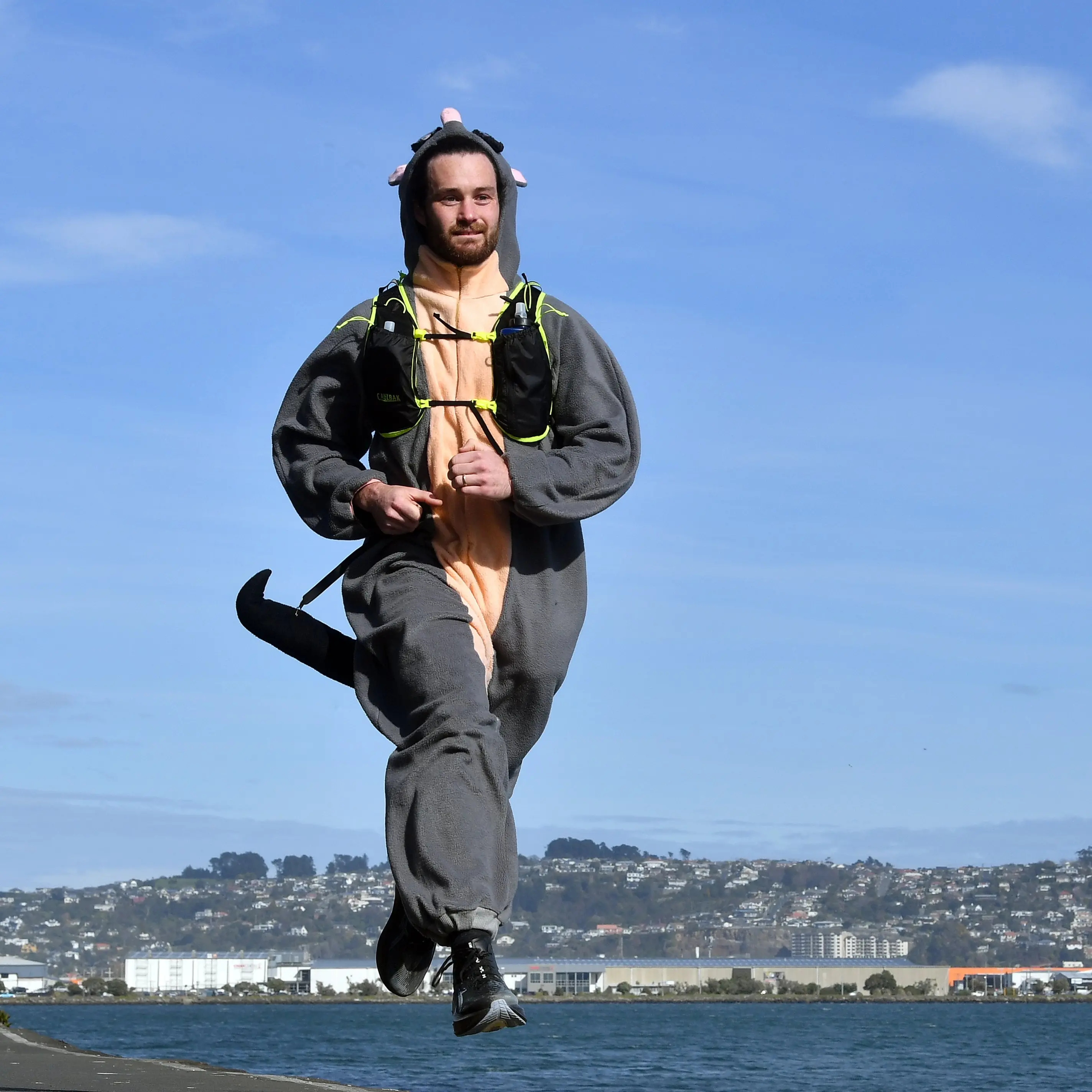 Possum to be spotted on the peninsula